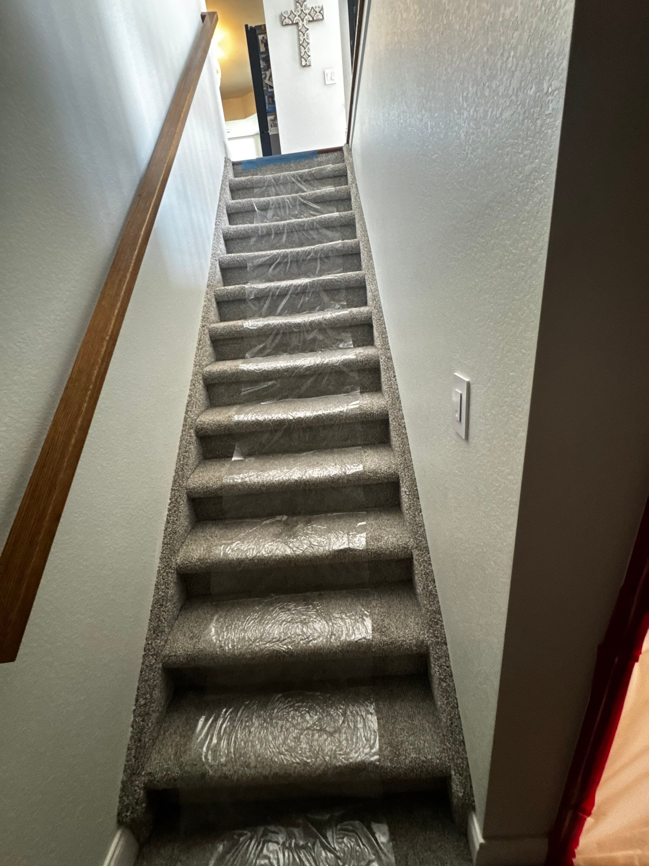 Mold Project in Thornton by Accountable Home Services