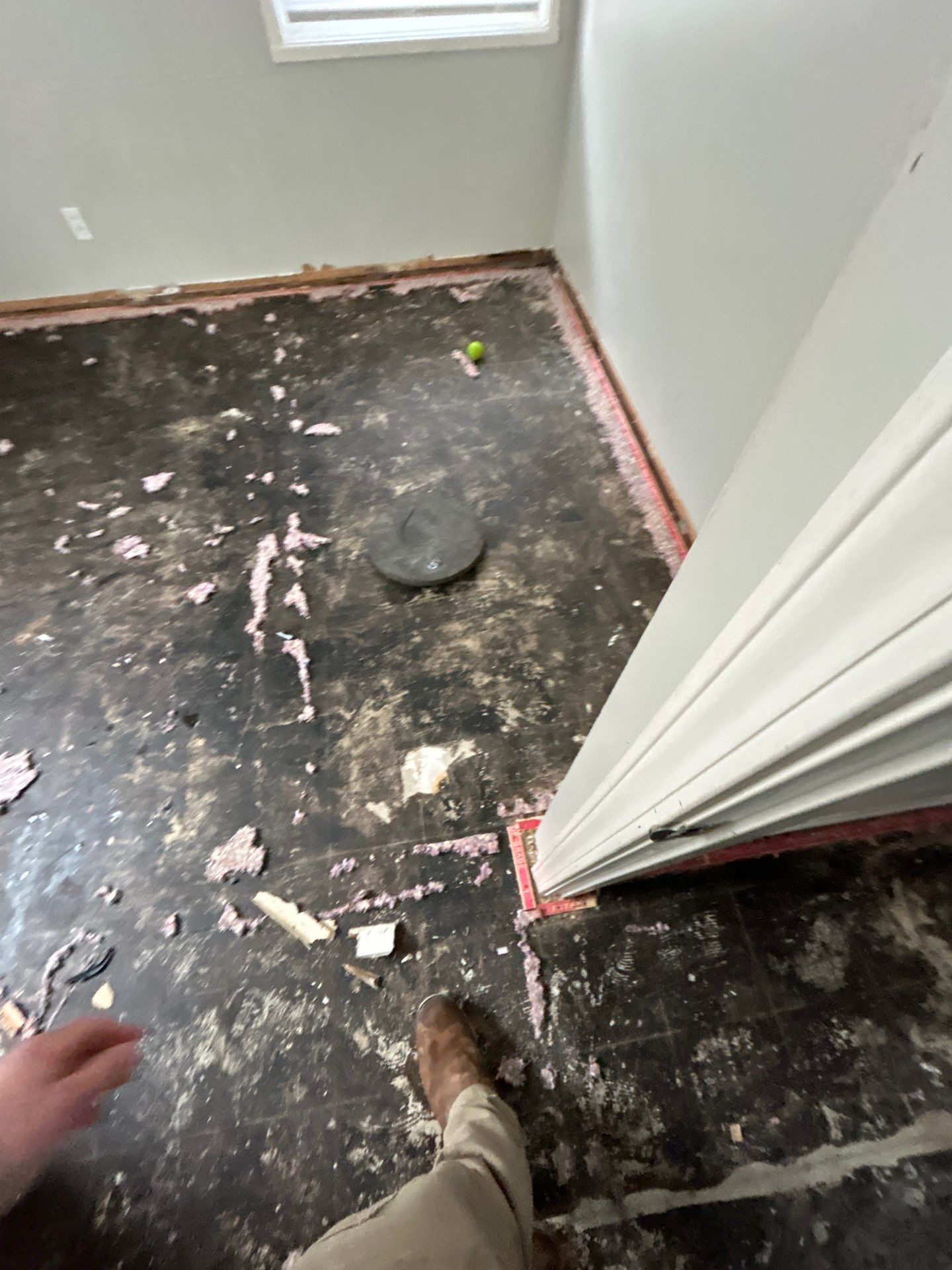 Remediation and Repairs by ANR Restoration