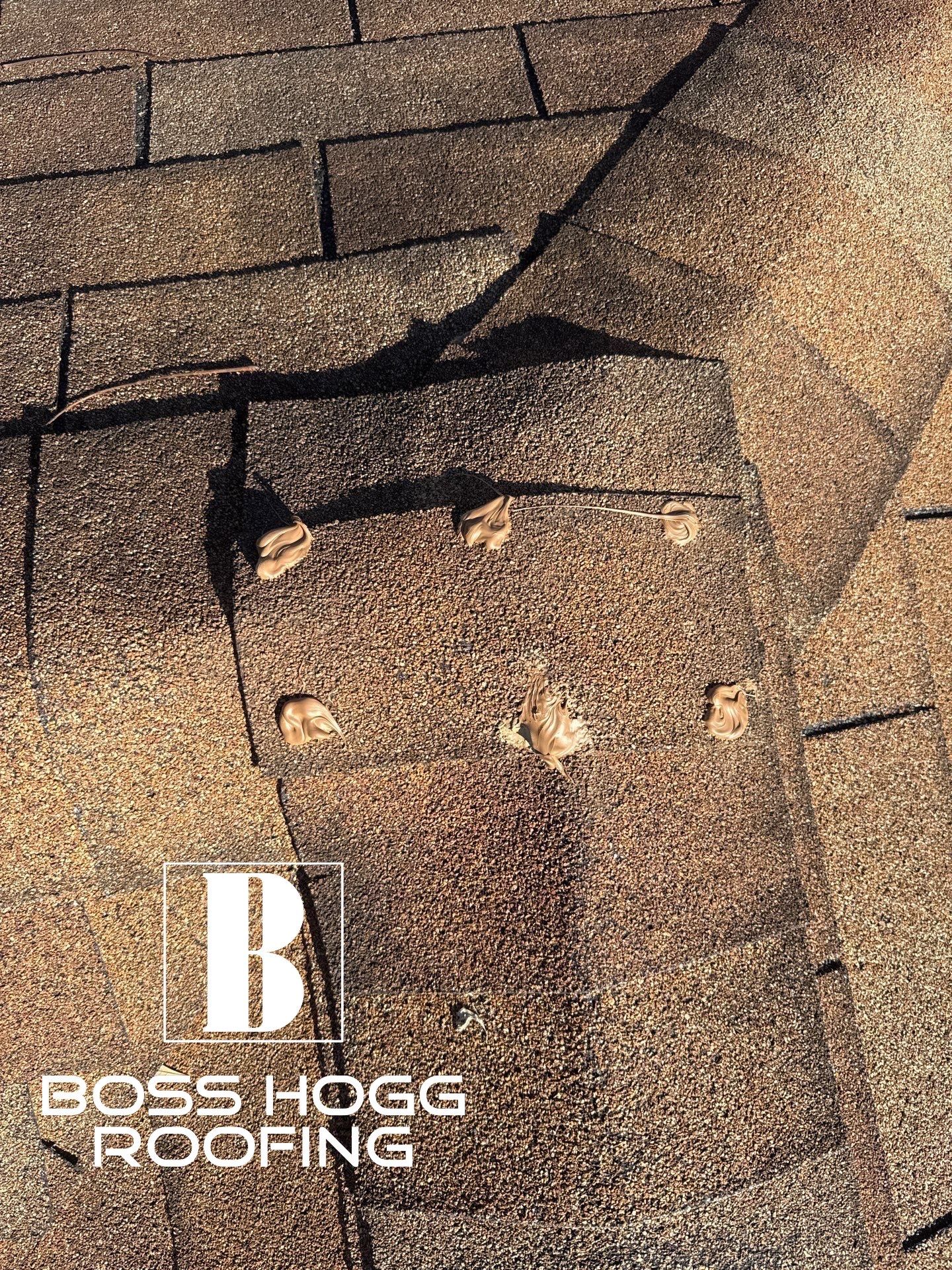 BARB C. by Boss Hogg Roofing