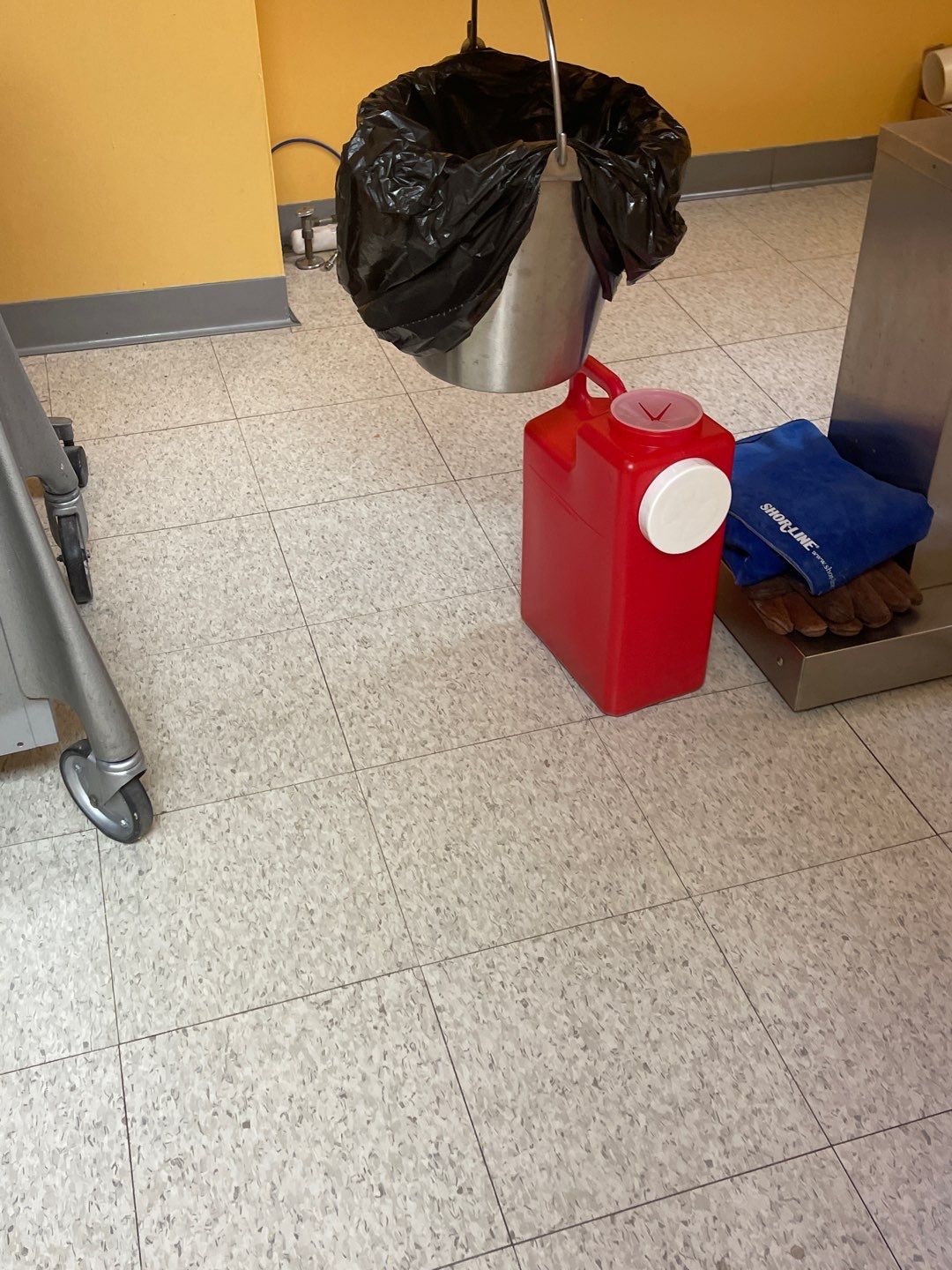 Cat Hospital Project in Pittsburgh by Floors in a Day, Inc