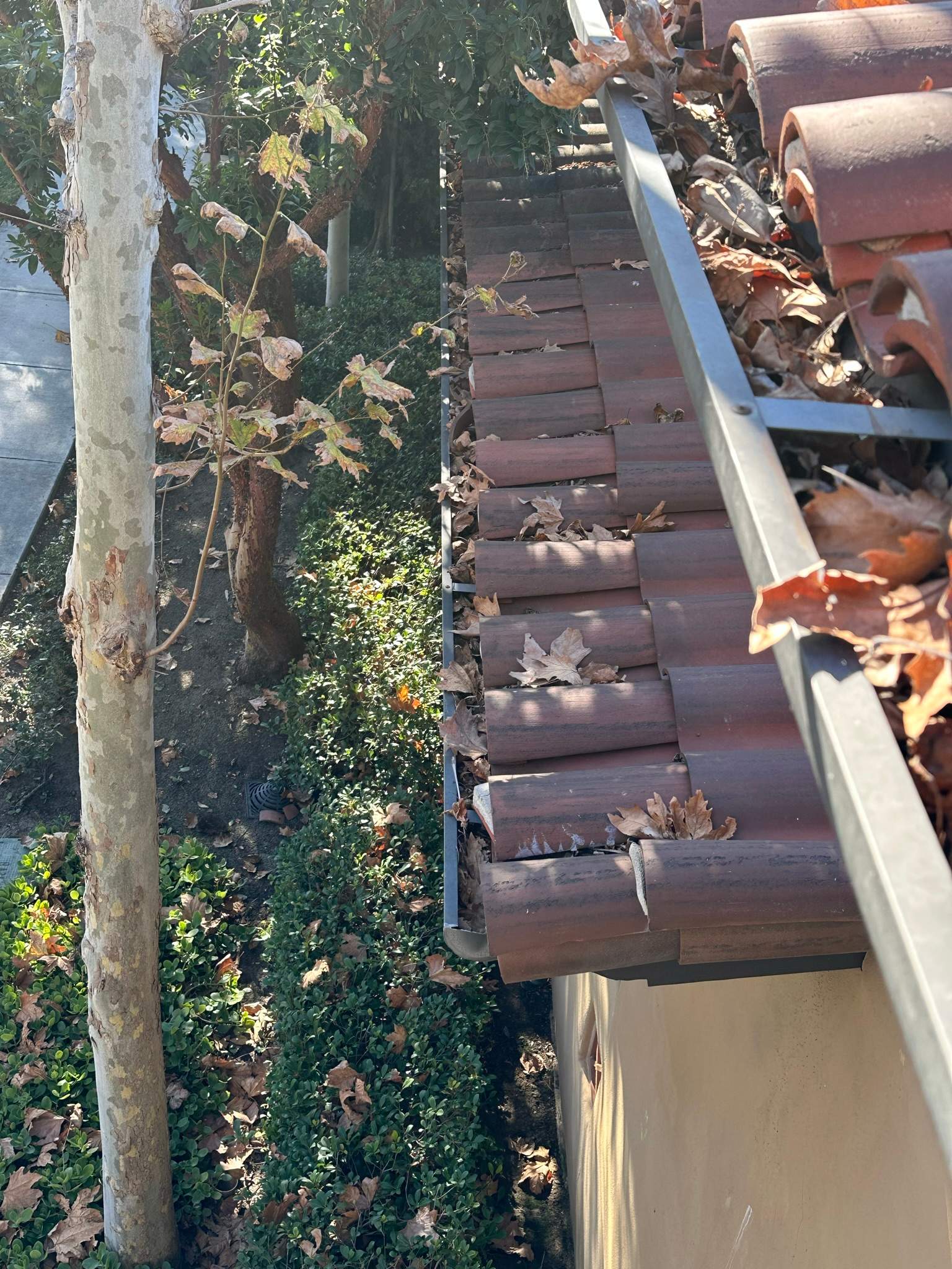 Orange County Gutter Cleaning by Property Cleaning Experts