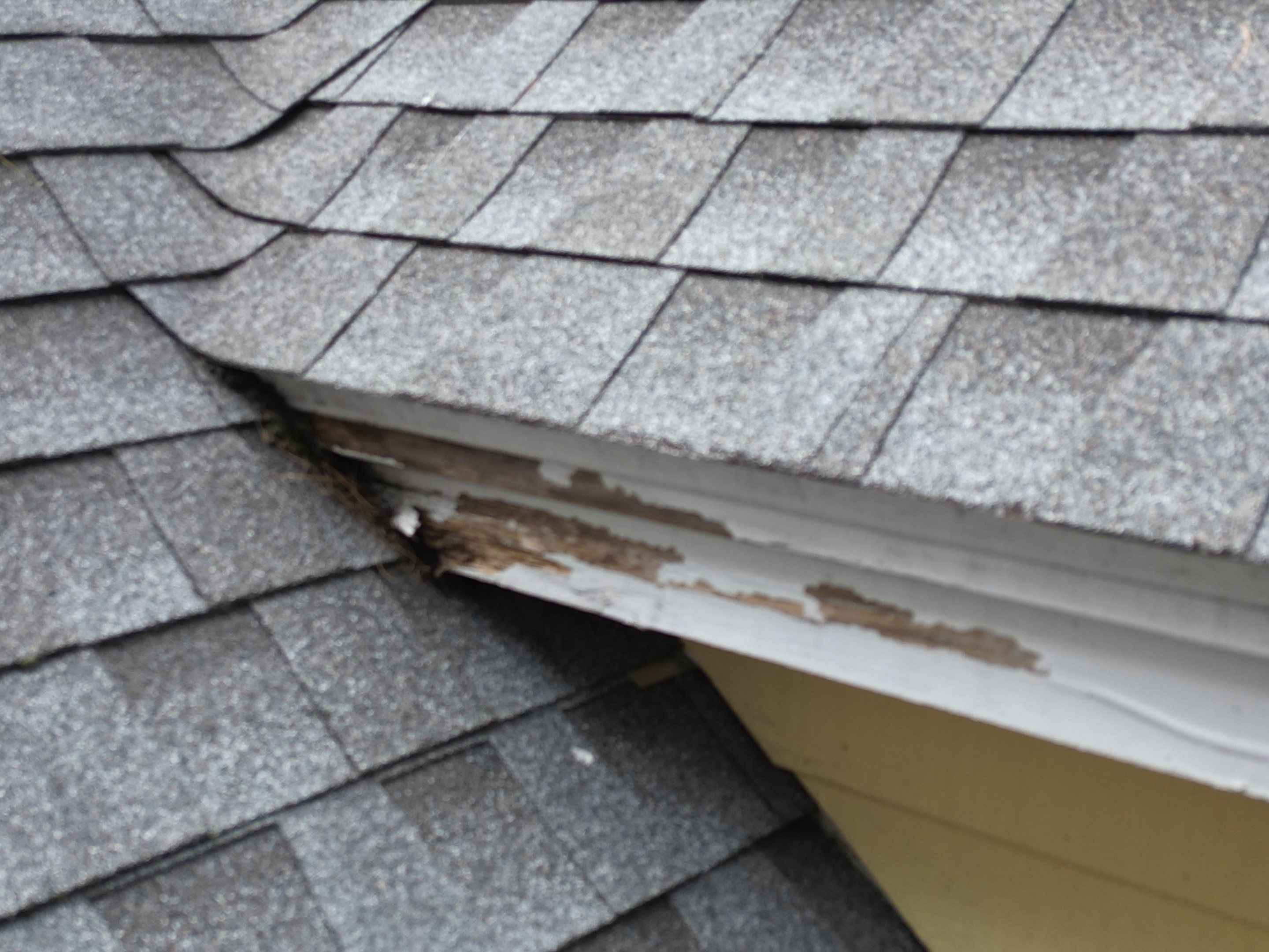 Siding | Dunstable by Mighty Dog Roofing of Greater Middlesex County