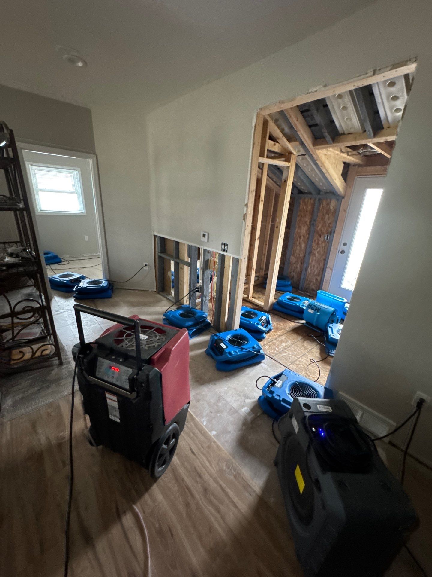 Water & Mold Remediation  by Dry Source Property Restoration 