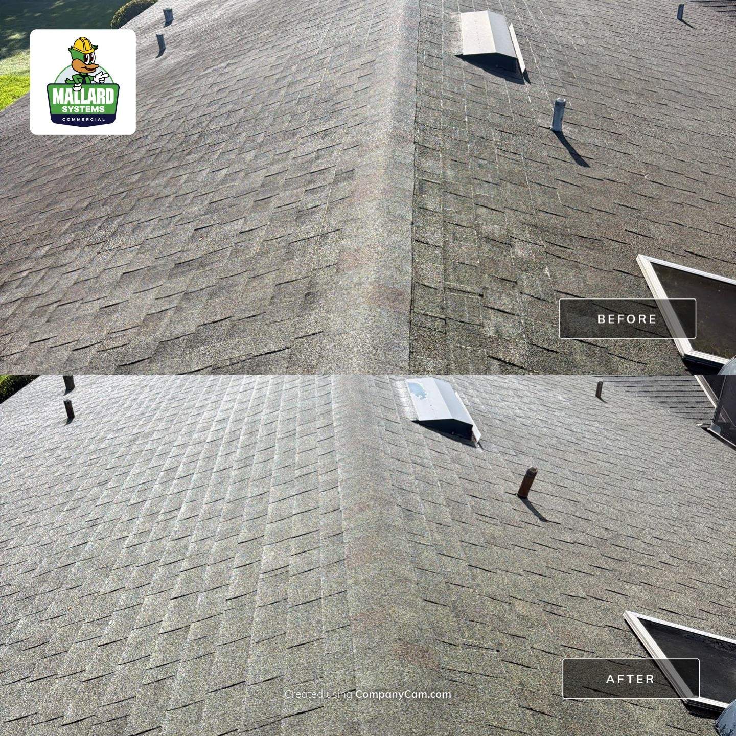 Residential Shingle Roof Cleaning in Orlando by Mallard Systems