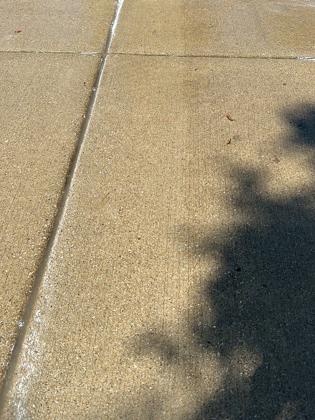 Oil extraction from concrete driveway.  by Northern Power Washing LLC.