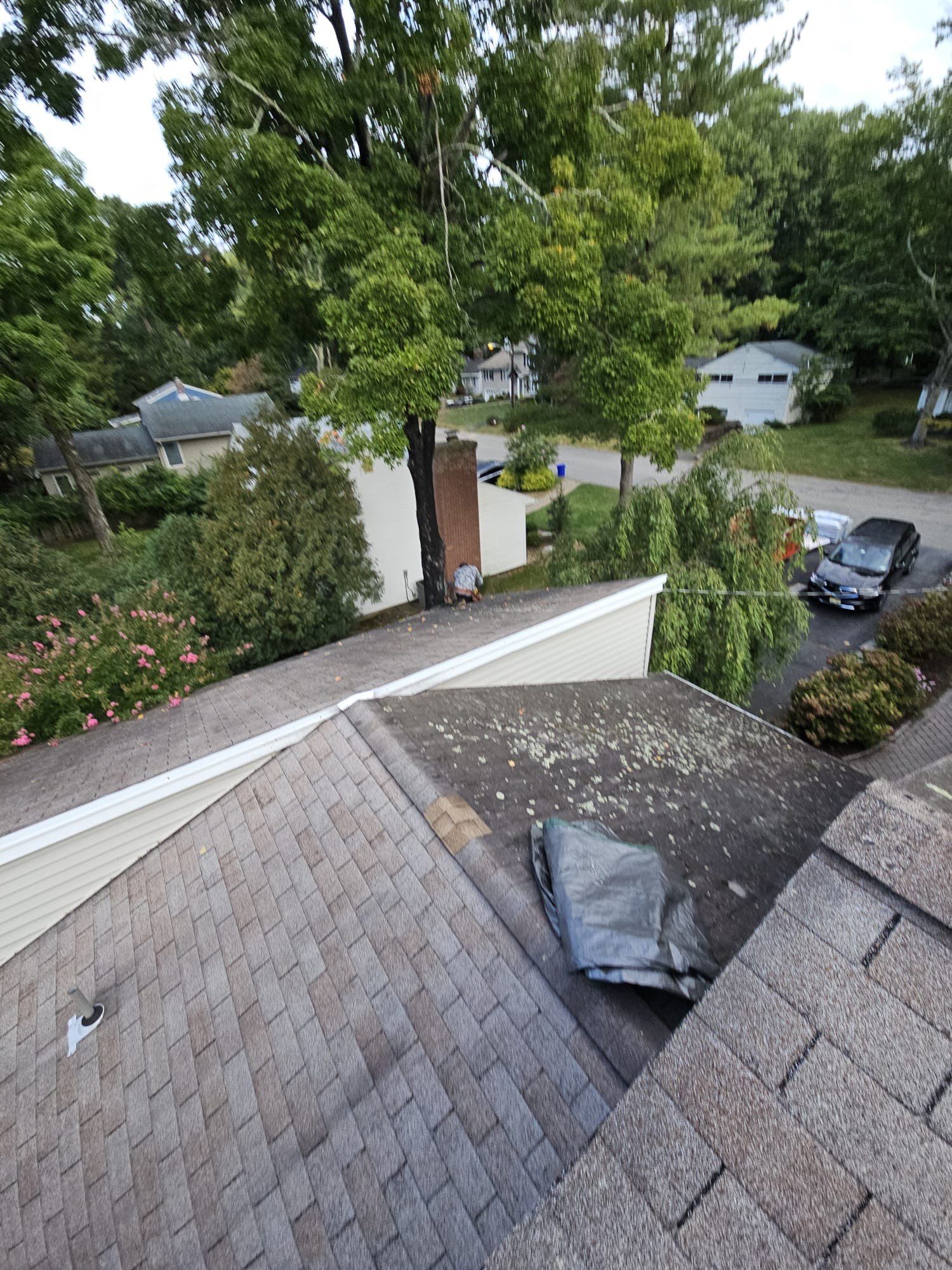 Shakewood Shingles by Reimagine Roofing