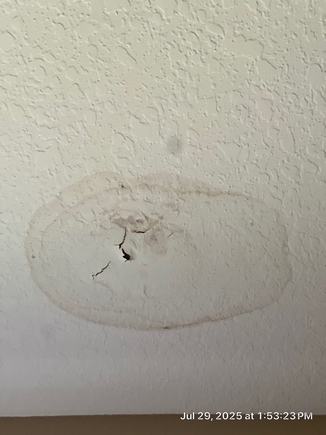Mold Removal and treatment in Brandon, Florida by Ampm Restoration Services