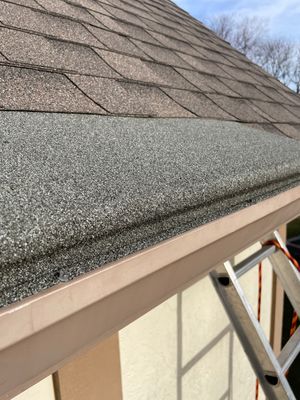 Turtle Shell gutter protection installation in Naperville, IL 60565, photograph 29