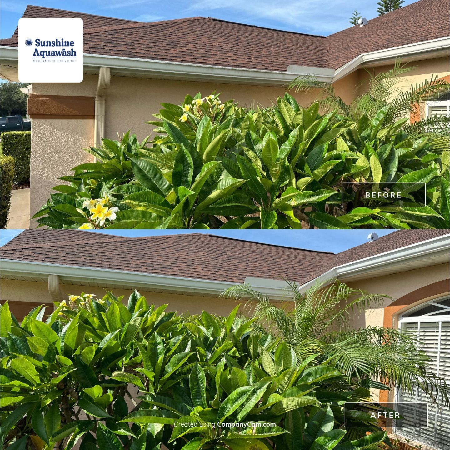 🏡 Pre-Sale House & Driveway Cleaning – Arbor Creek, Palmetto, FL by Sunshine AquaWash