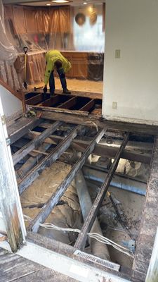 Crawl Space Structural Carpentry: Floor Joist, Beams, & Supports