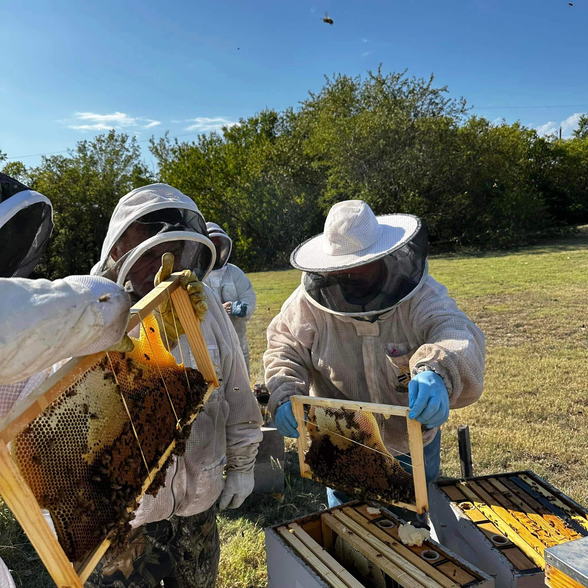 Rockwall Honey Bee Company HQ by Rockwall Honey Bee Company