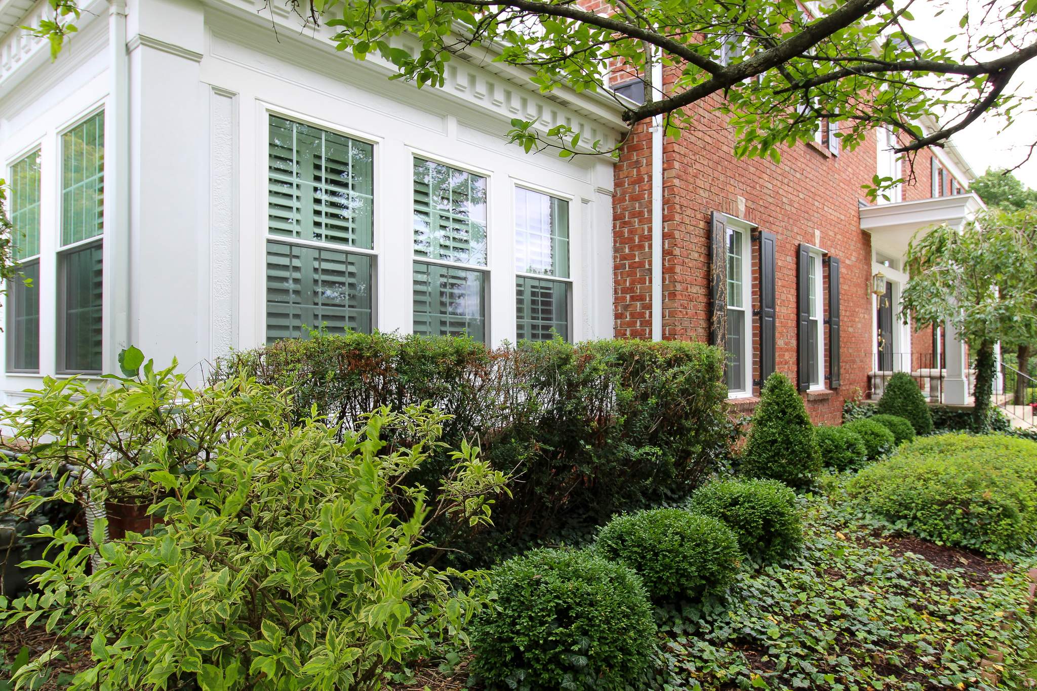 Window Replacement by Ivy Lea Construction