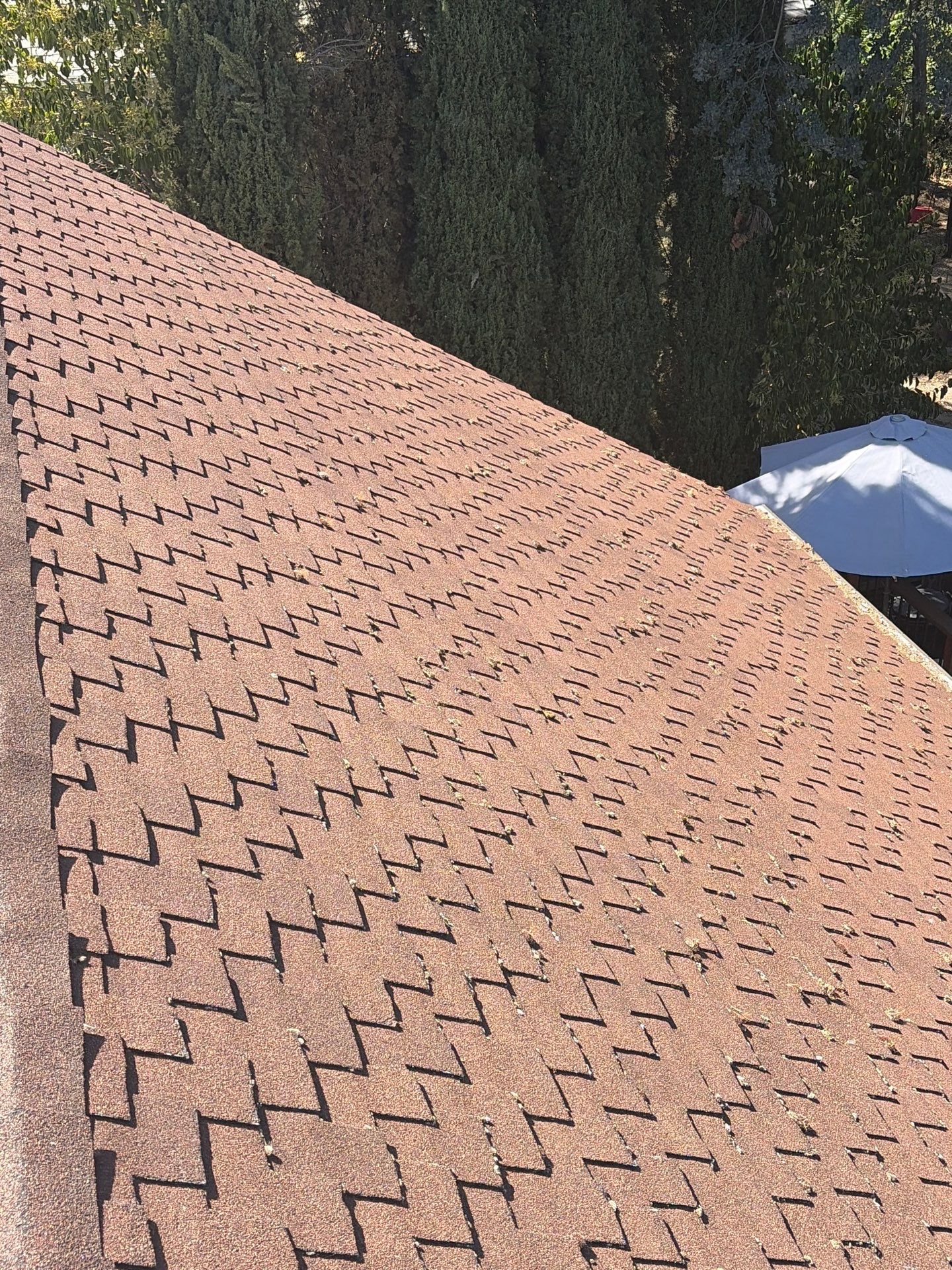 Roof Rejuvenation using Roof Maxx Treatment by Roof Maxx of Folsom