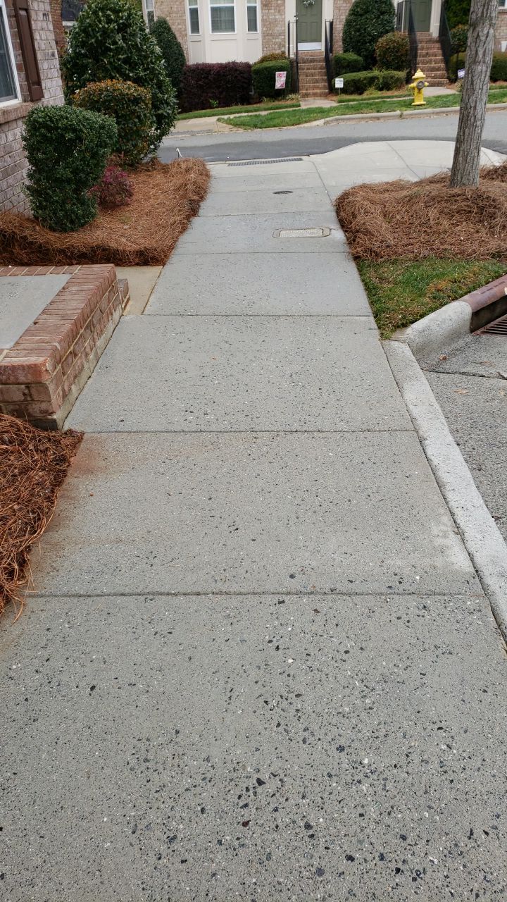 House Wash using cleaner by Power Wash Masters LLC