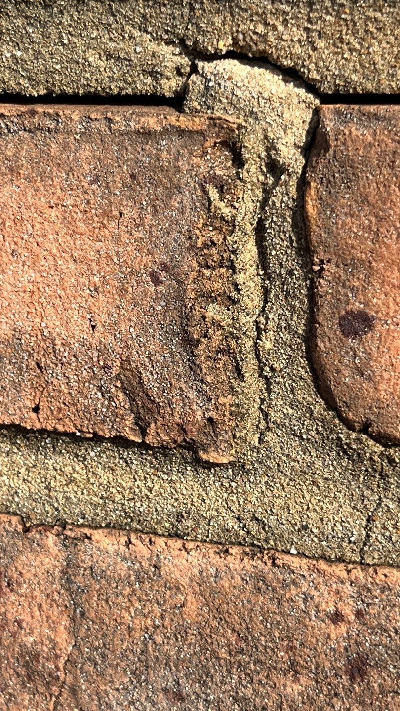 Problems in Paradise  by Bayfront Roofing and Construction