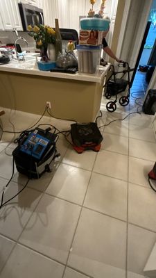 Wet Carpet Drying — Bonita Springs, FL