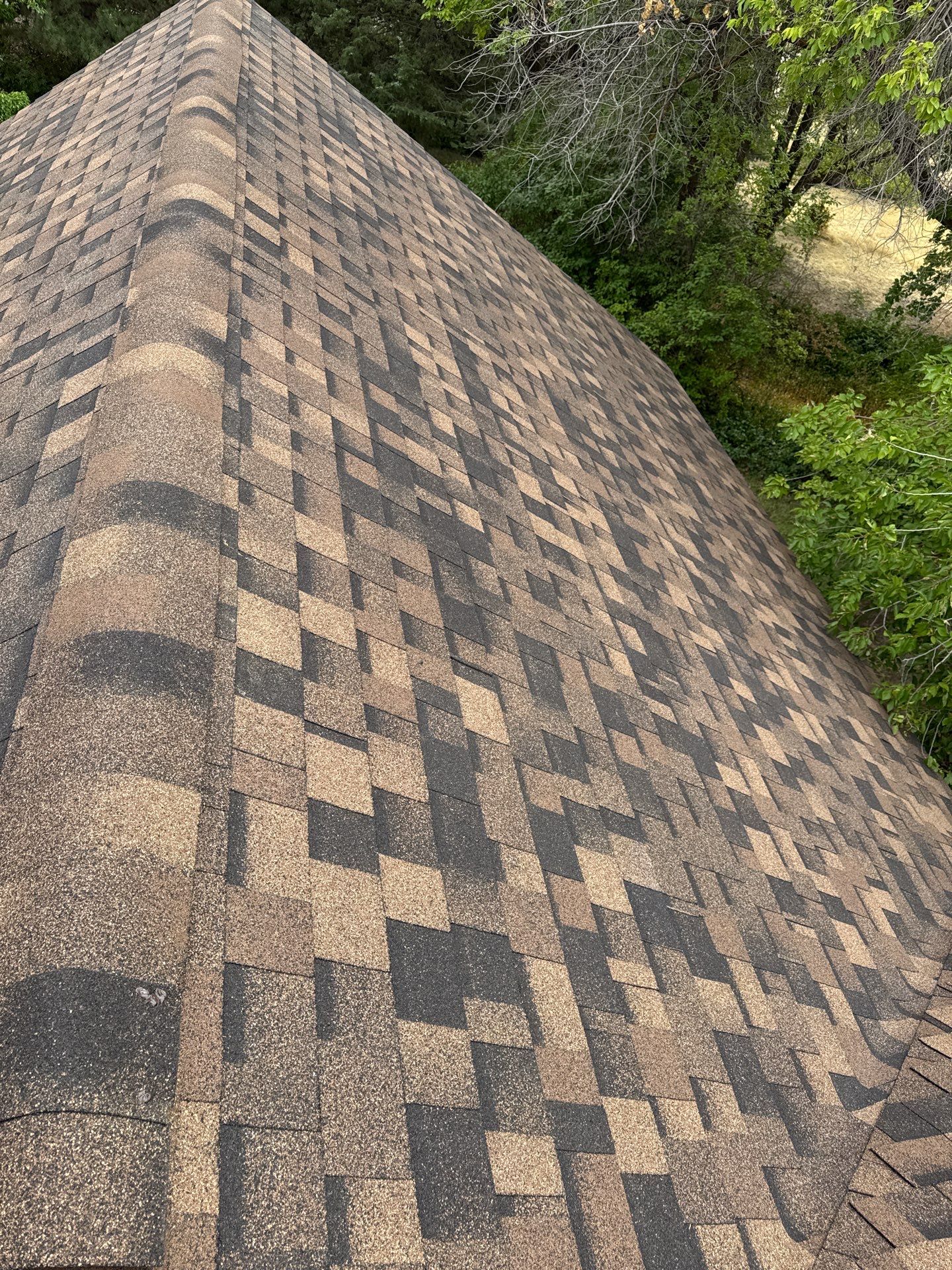 Architectural Shingle Roof Replacement for Boise Log Cabin Home by Olive Roofing