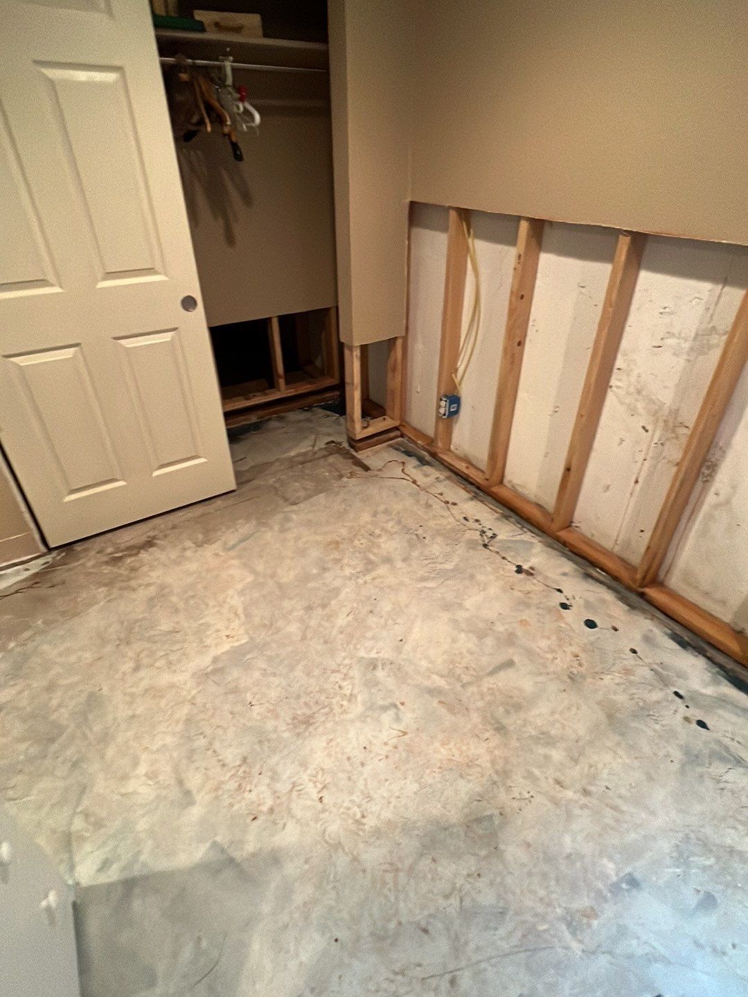 Mold Damage by Accountable Home Services