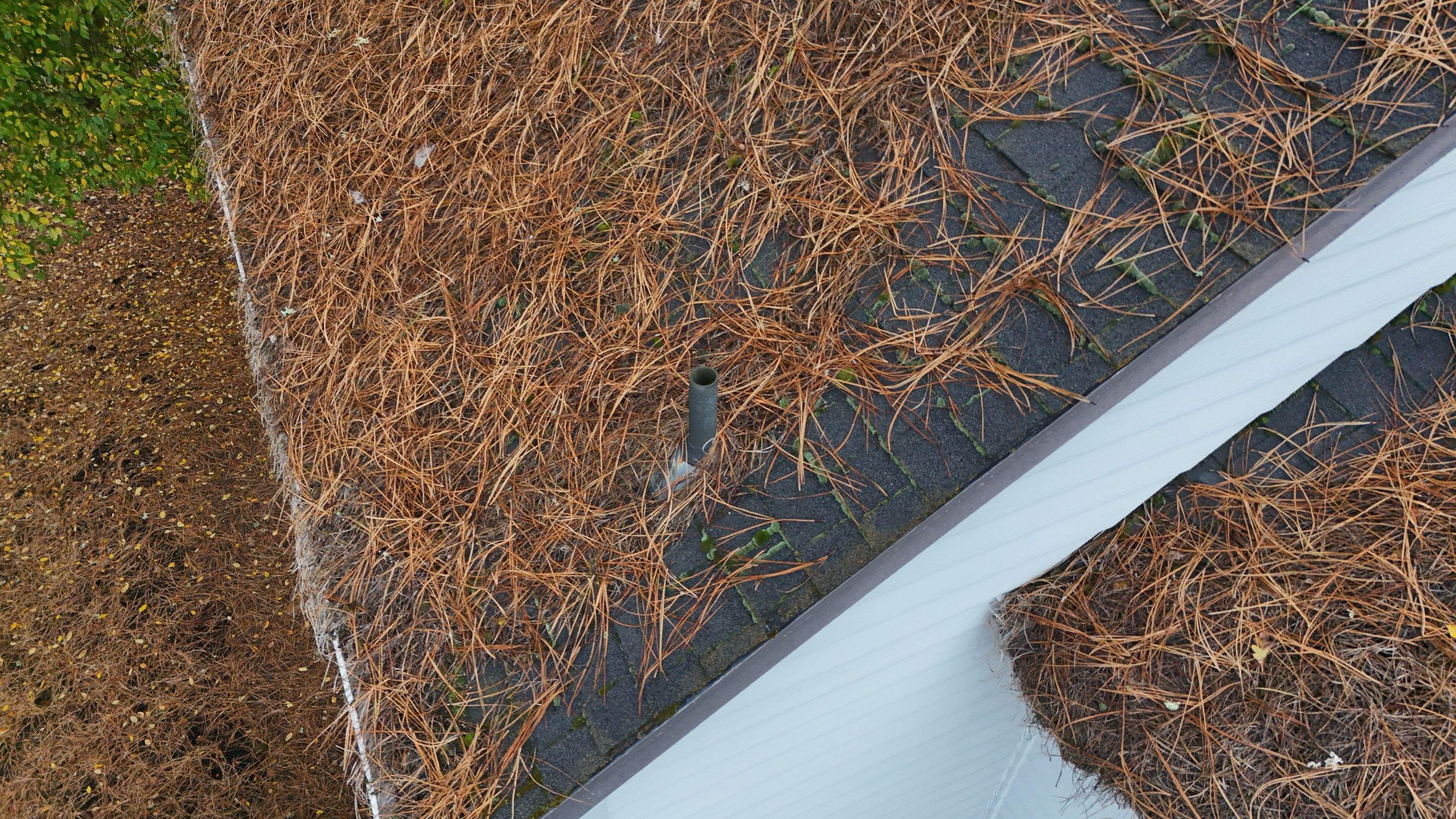 Severe Roof Maintenance in Beaverton by Prodigy Roof Solutions