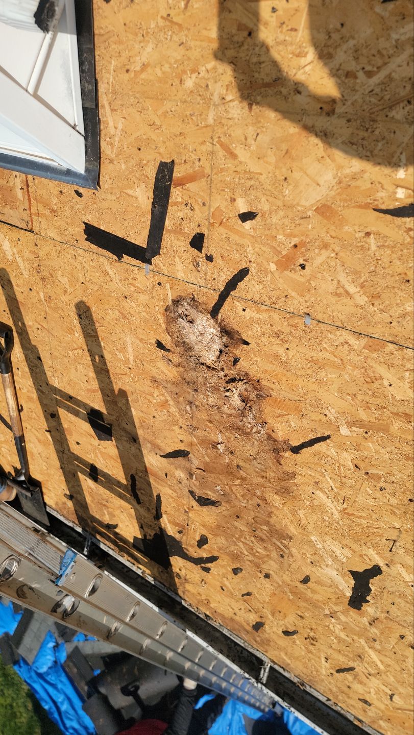 Roof Installation using GAF Timberline HDZ by ExteriorPros