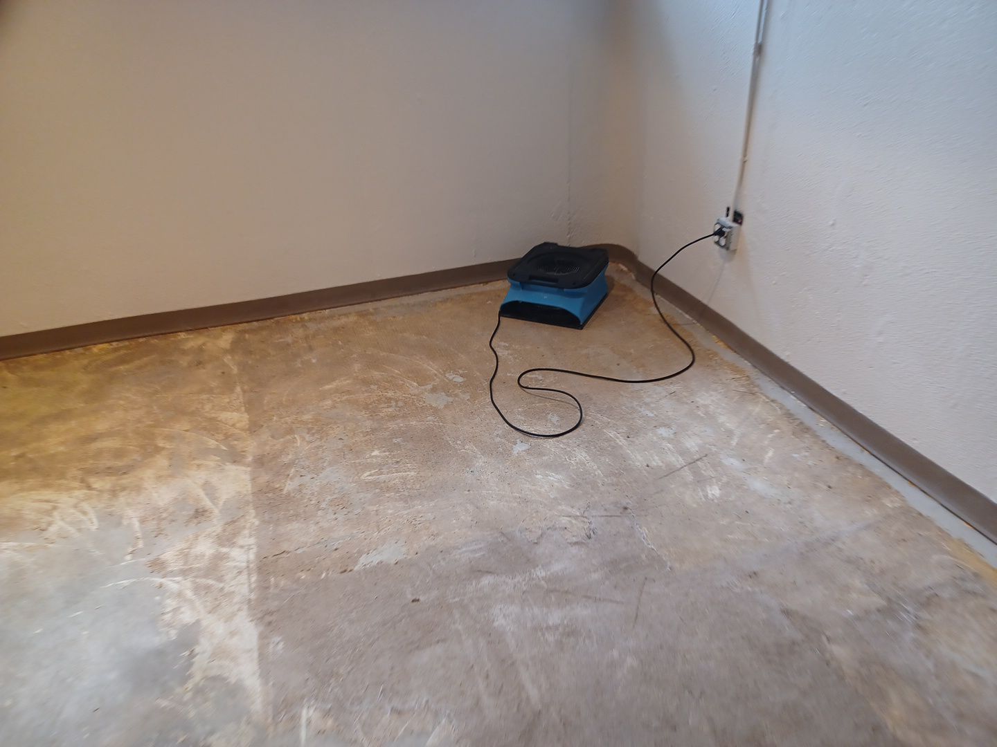 Project in Troy by EzDry Water Mitigation & Property Restoration