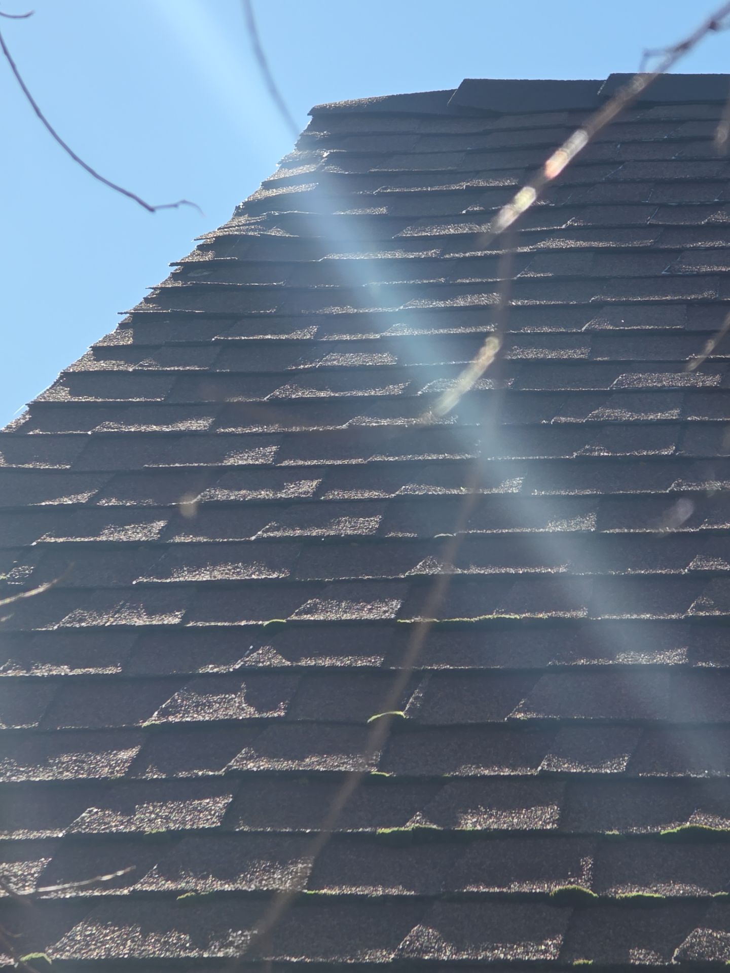 Roof Rejuvenation using Roof Maxx Treatment by Roof Maxx of Folsom