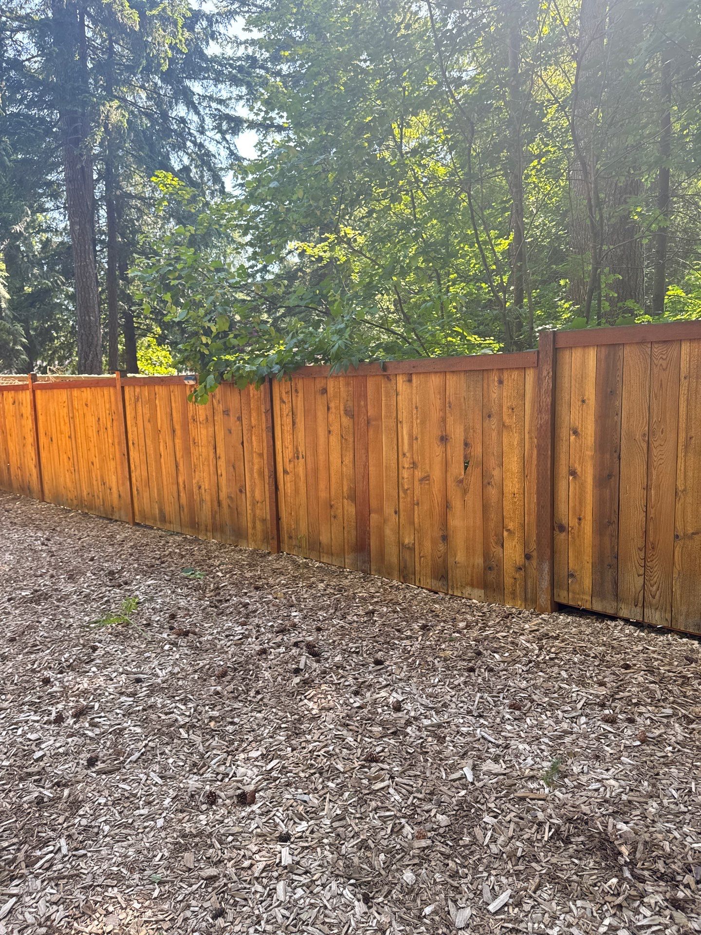 Project in North Bend by Clean Buildings