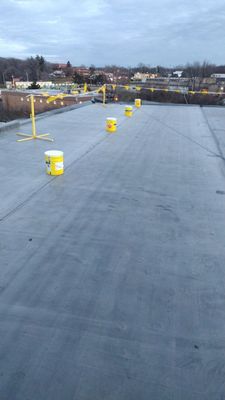 Commercial flat roof parma