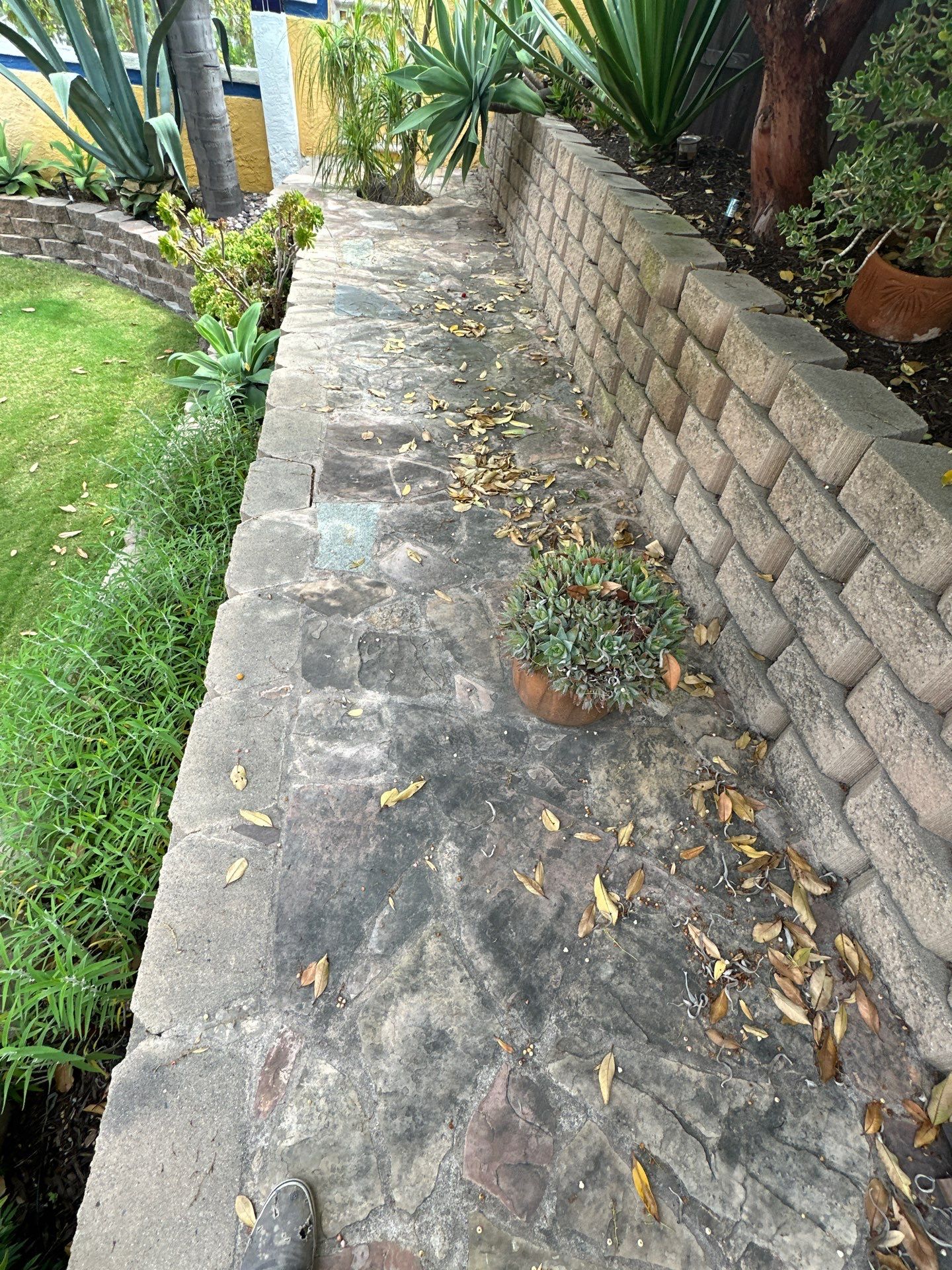 House Washing, Concrete Cleaning, and Window Washing with a Side of Gutters by Property Cleaning Experts, LLC