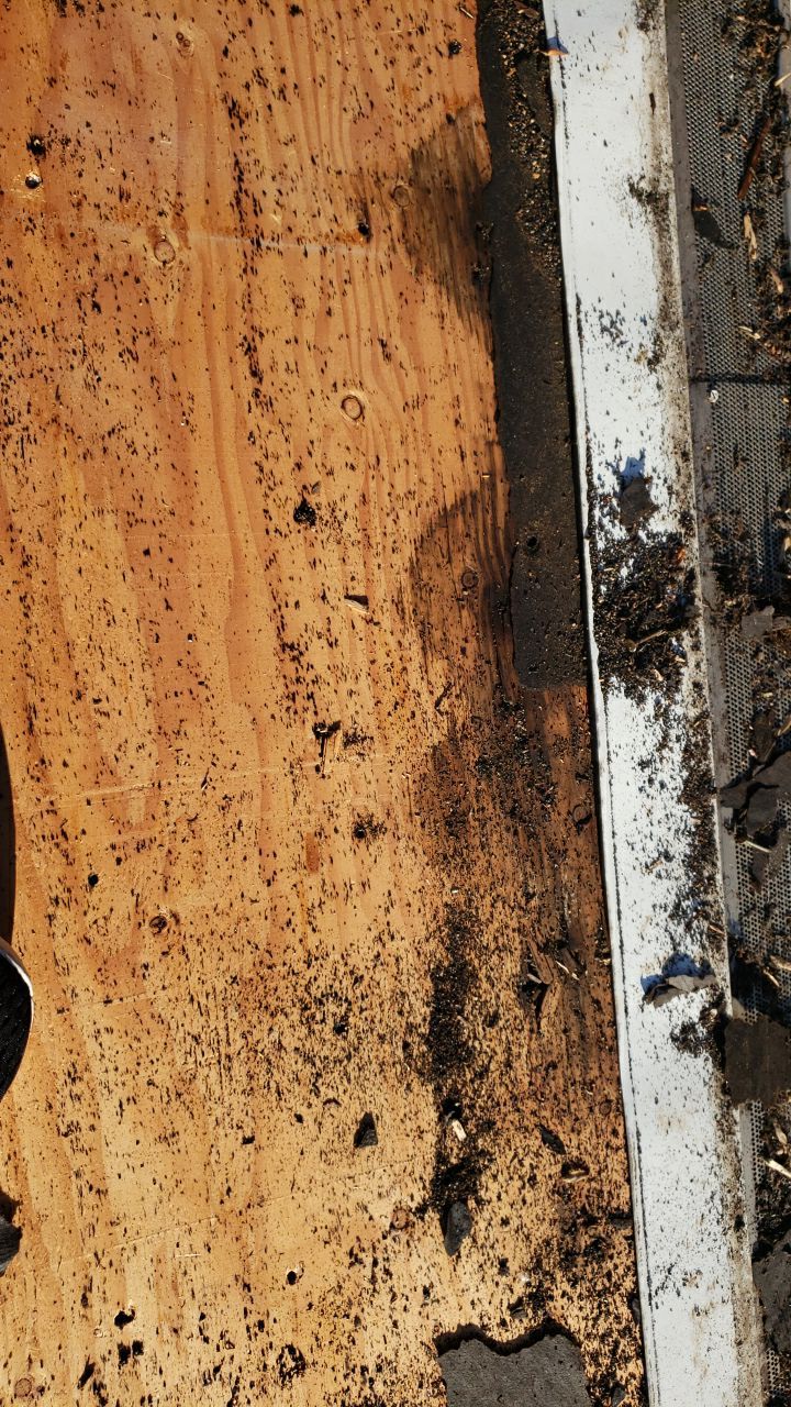 Springfield: CertainTeed Landmark Pro Designer Shingles in Max Def Pewterwood by RM Banning, Inc.