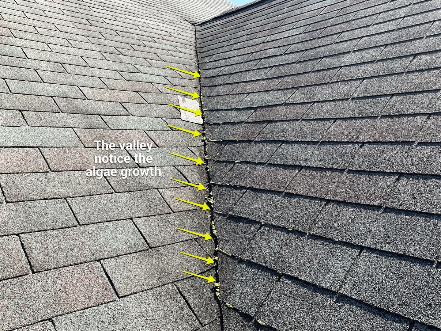 Residential Roofing Installation by Alpha Design Services