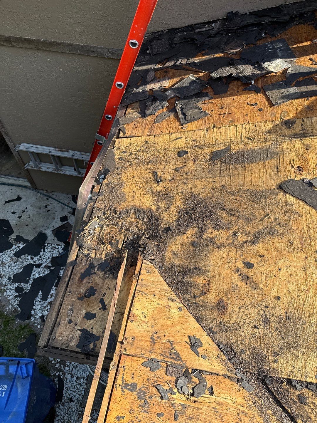 Project in Wimauma 33598 by Mitchell Roofing Company LLC 