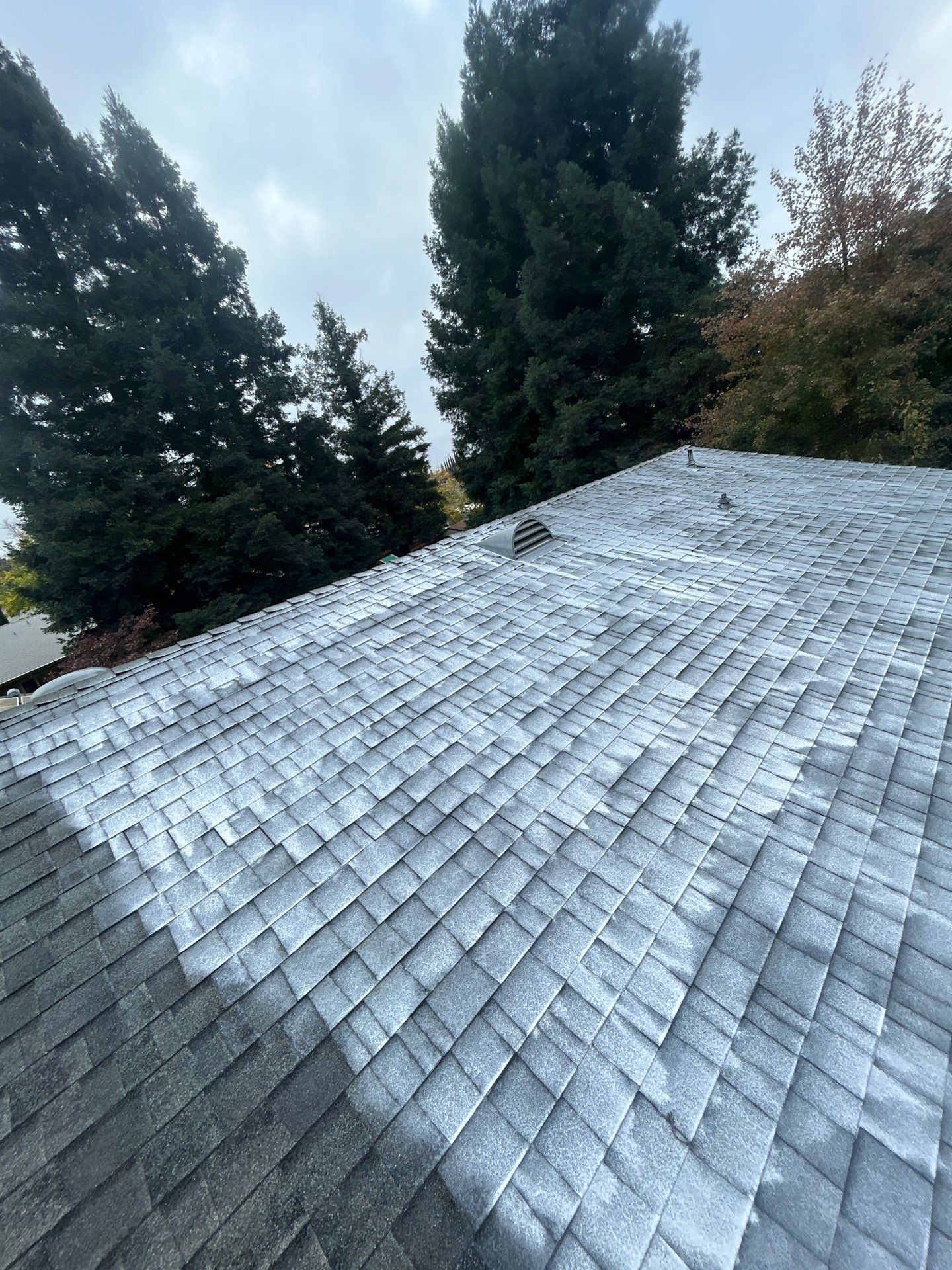 Roof Rejuvenation using Roof Maxx Treatment by Roof Maxx of Folsom