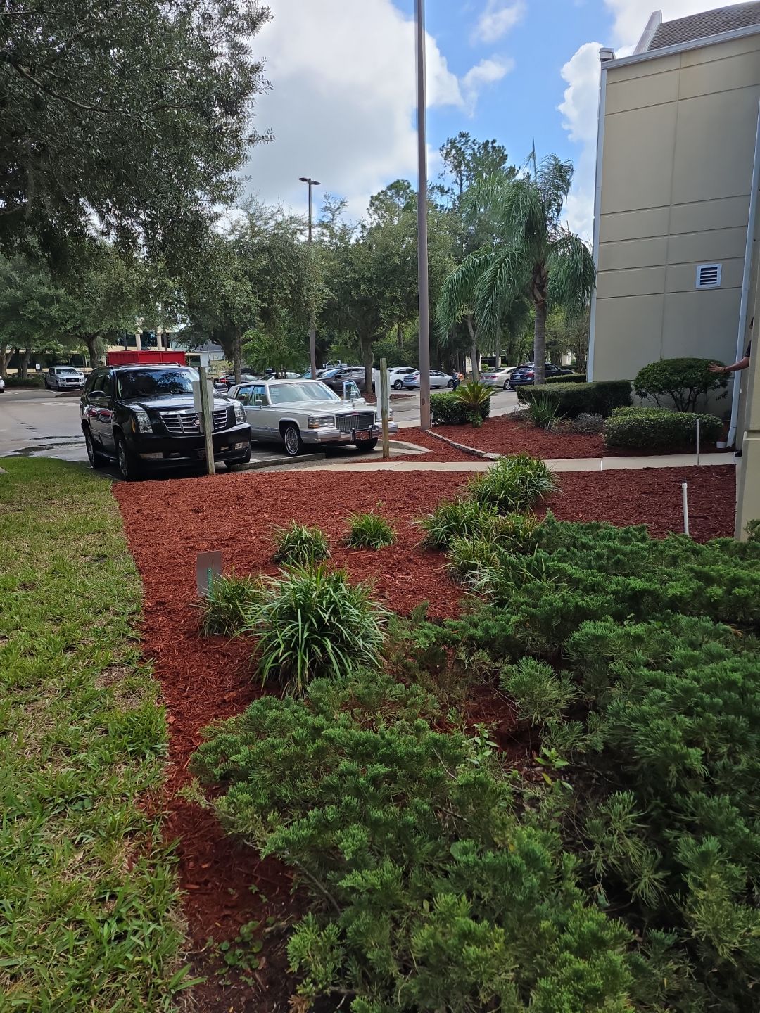 Simonic II | Business Complex Landscape by ProGreen Services