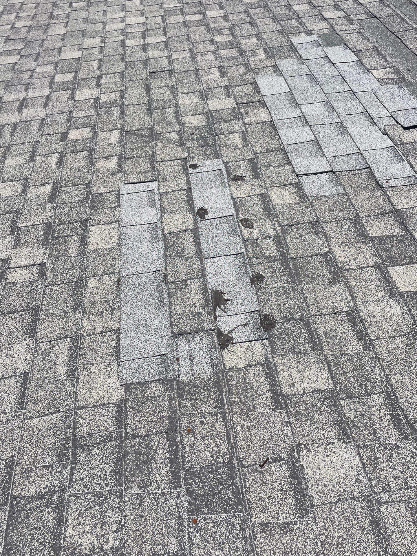 Roof Rejuvenation using Roof Maxx Treatment by Roof Maxx of Folsom