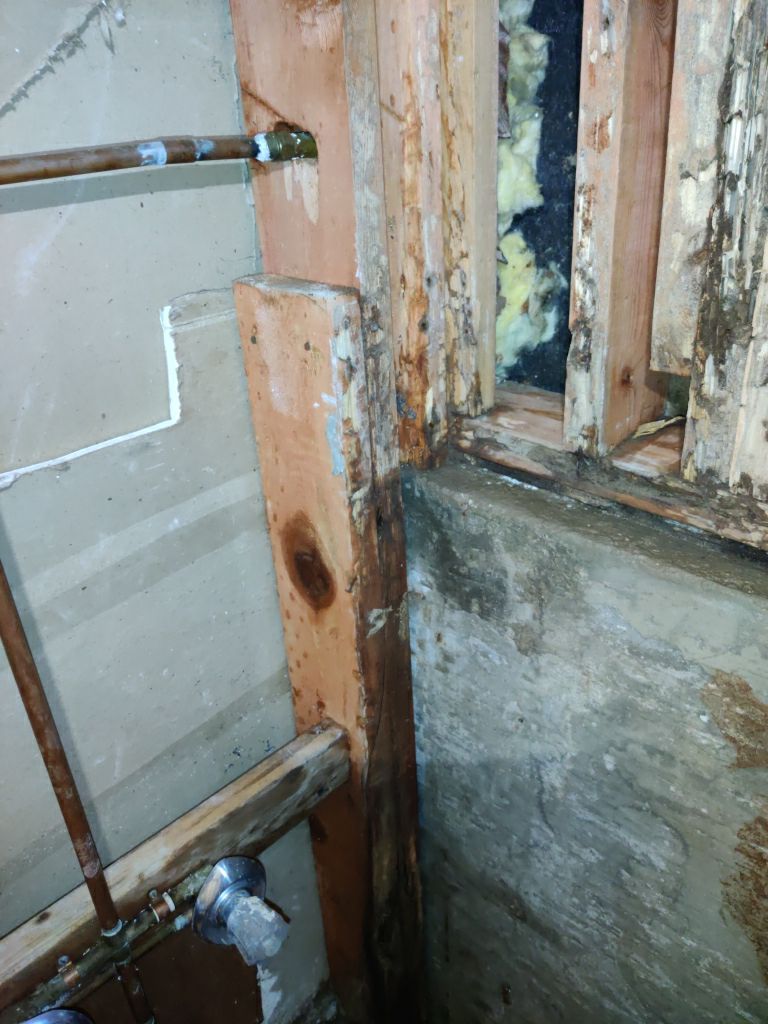 Mold Remediation in Bathroom by Accountable Home Services