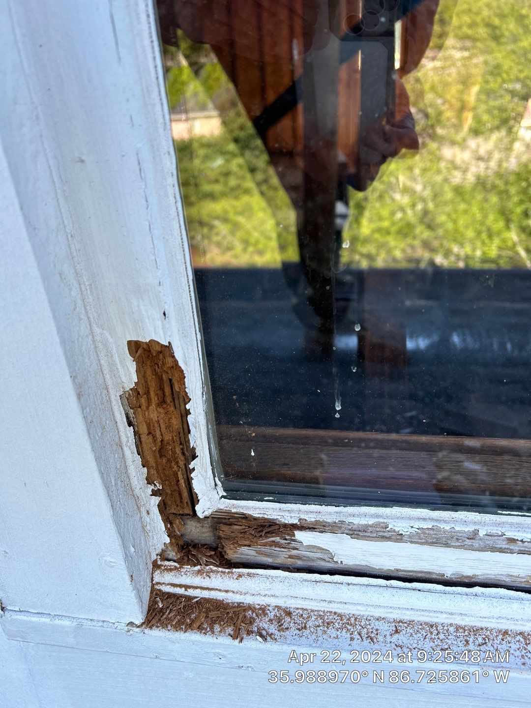 Brentwood - Sunset Rd. Exterior  by Nashville House Painters 