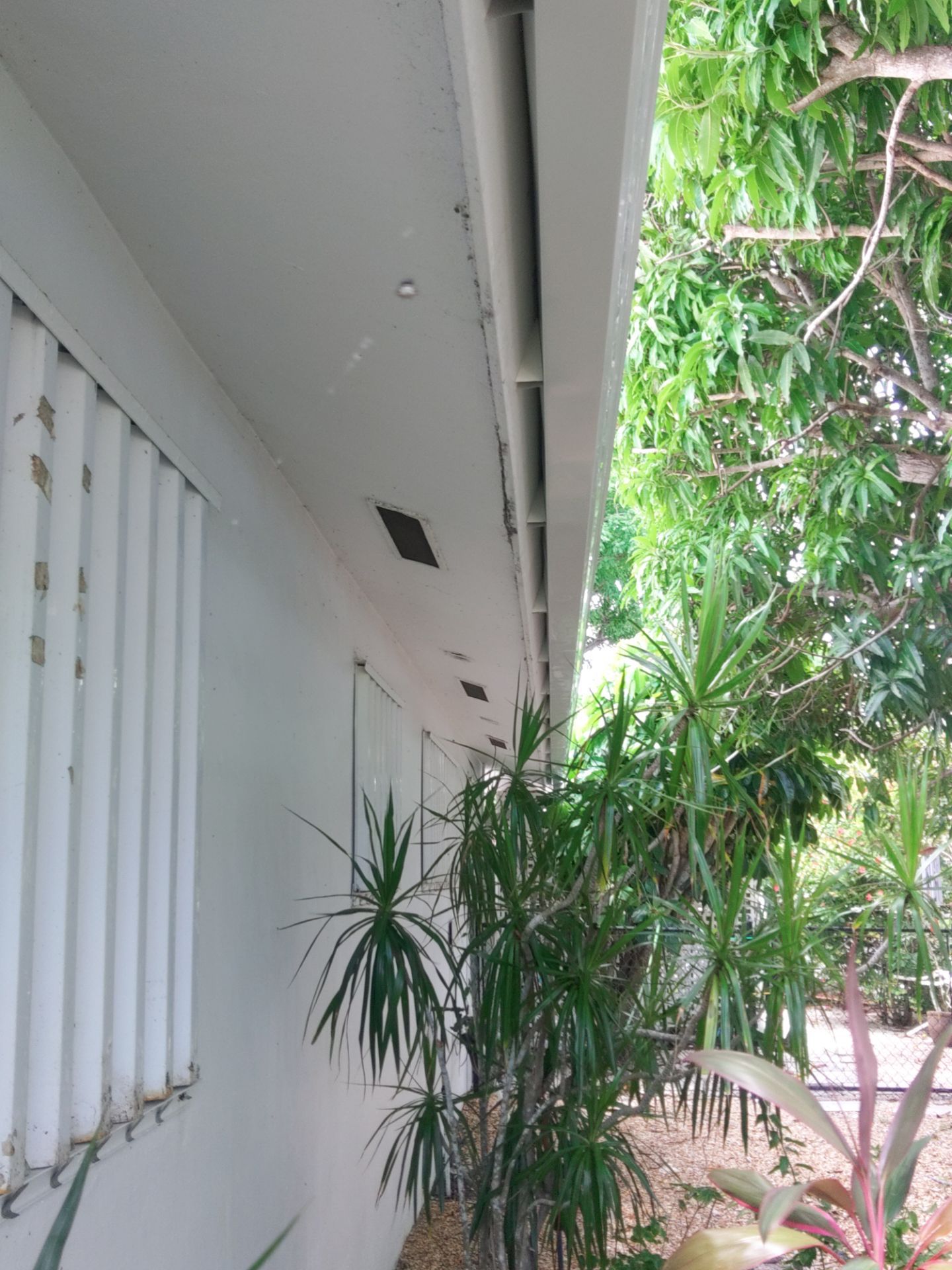 K-Style Seamless Gutter Installation using 3X4 Elbow Downspout in Marco Island, FL  by Gutter Professors