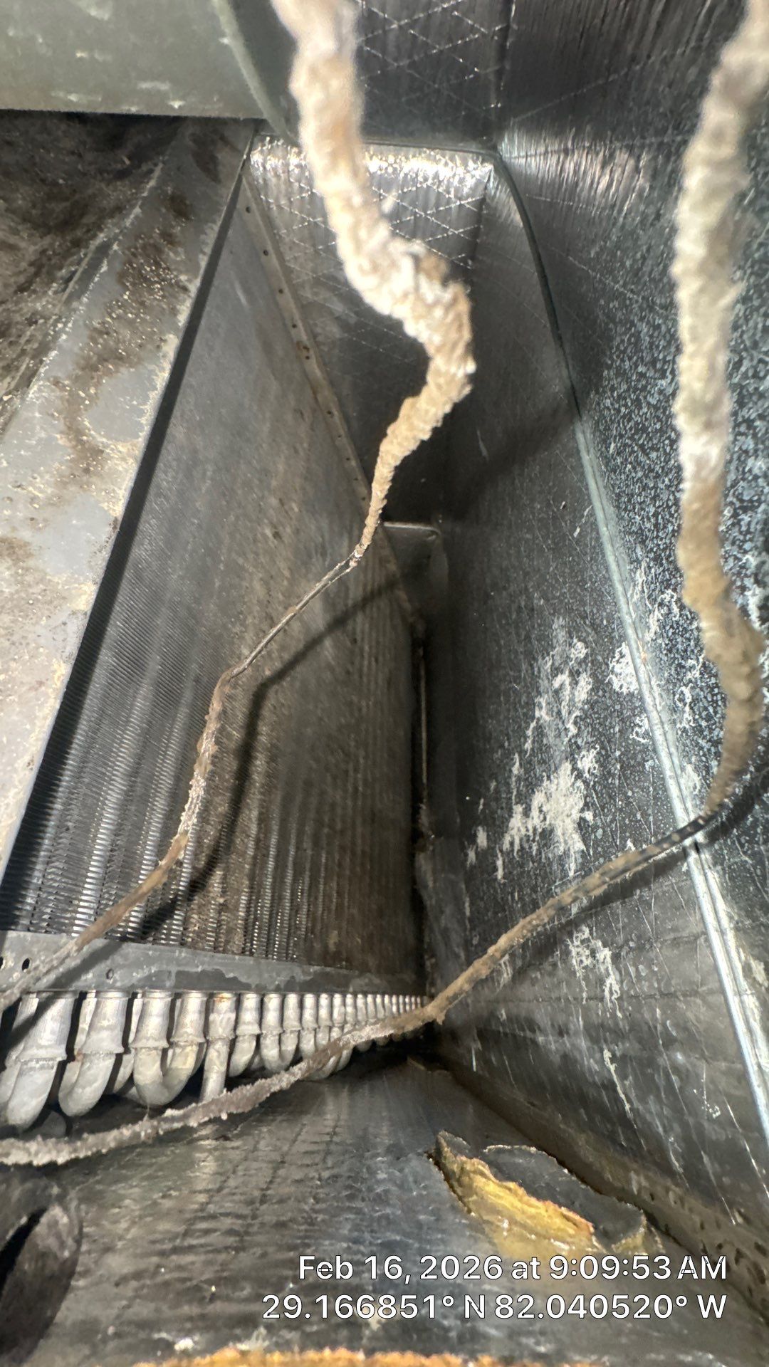 Air Duct Cleaning in Ocala by Hygienic Air, Inc