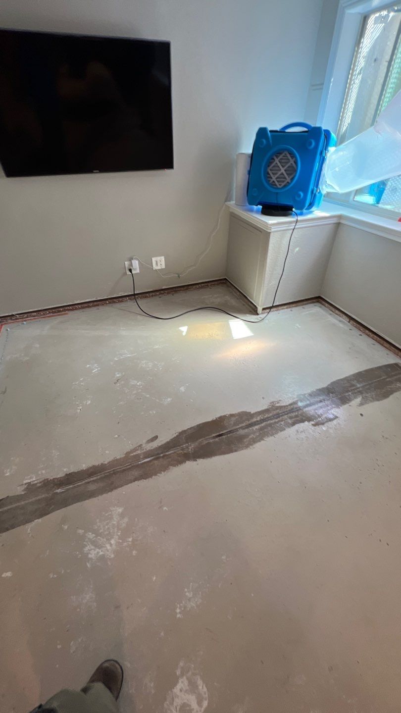 Mold Remediation  by Accountable Home Services