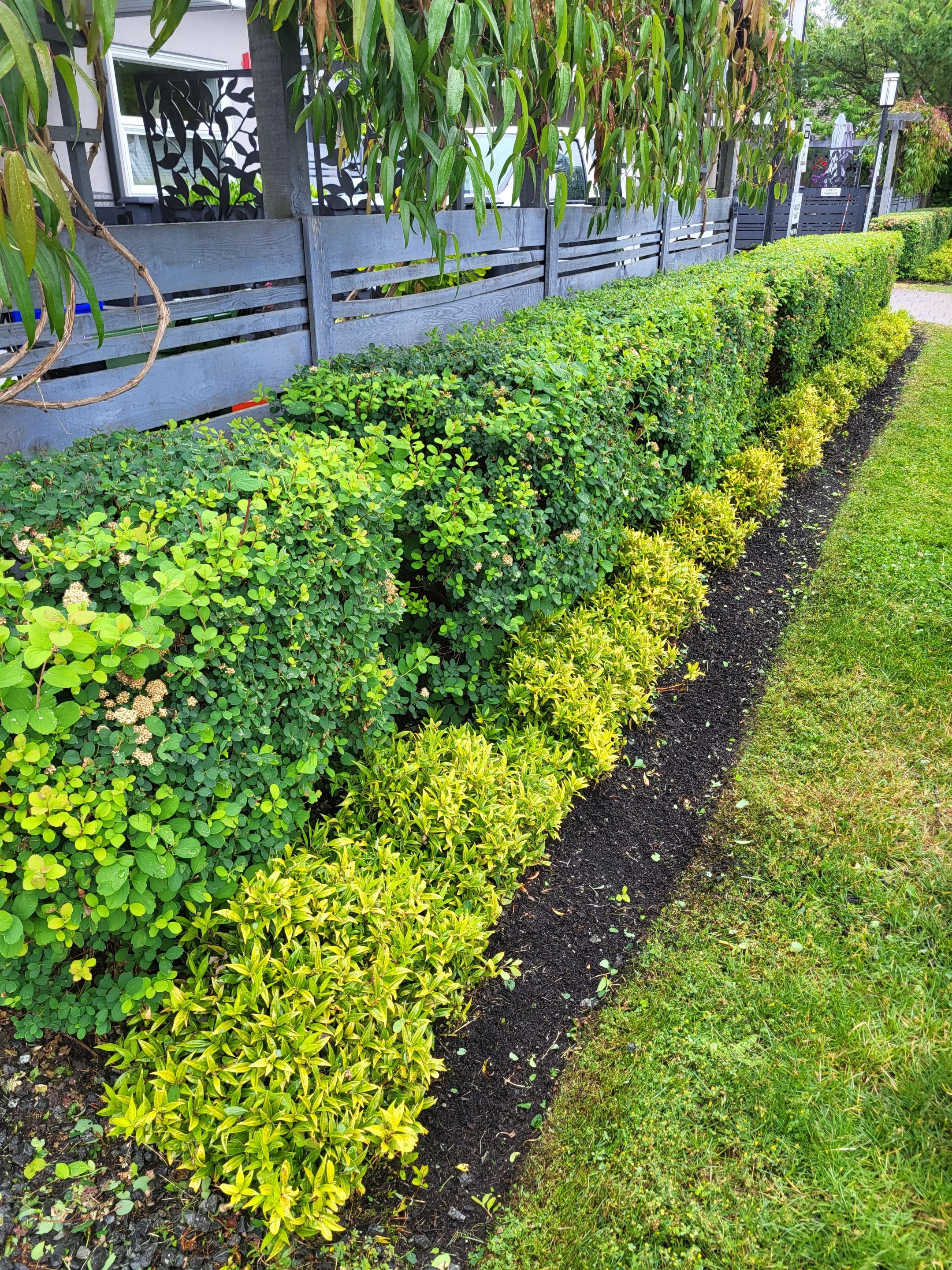 Sea Haven — Year-Round Strata Landscape Care by Habanero Landscape Solutions