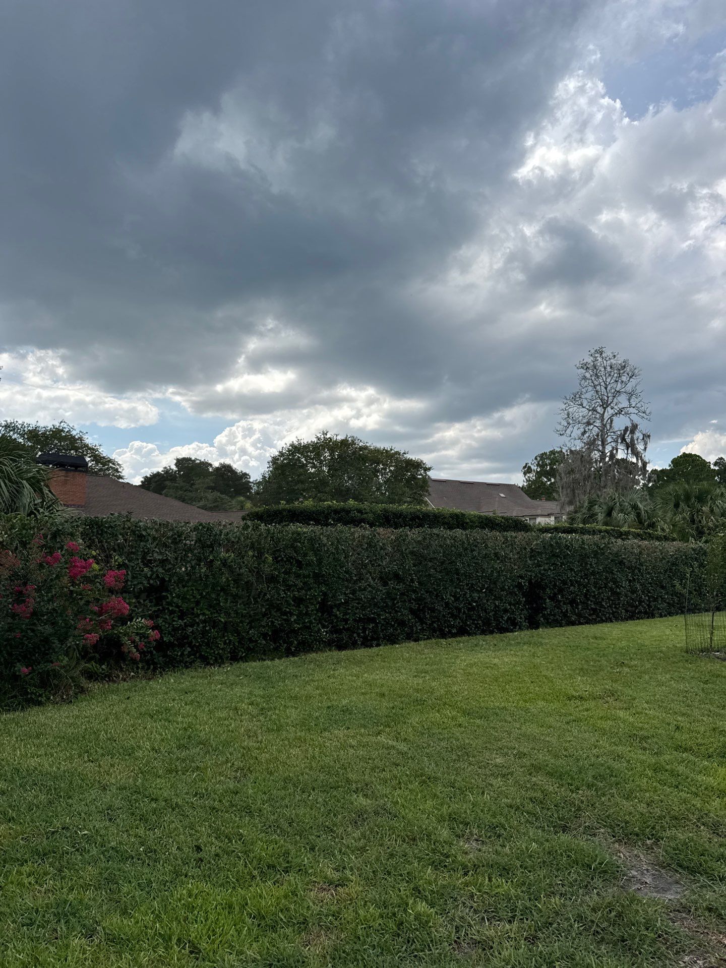 Deerwood Resident | Shrub Trimming by ProGreen Services
