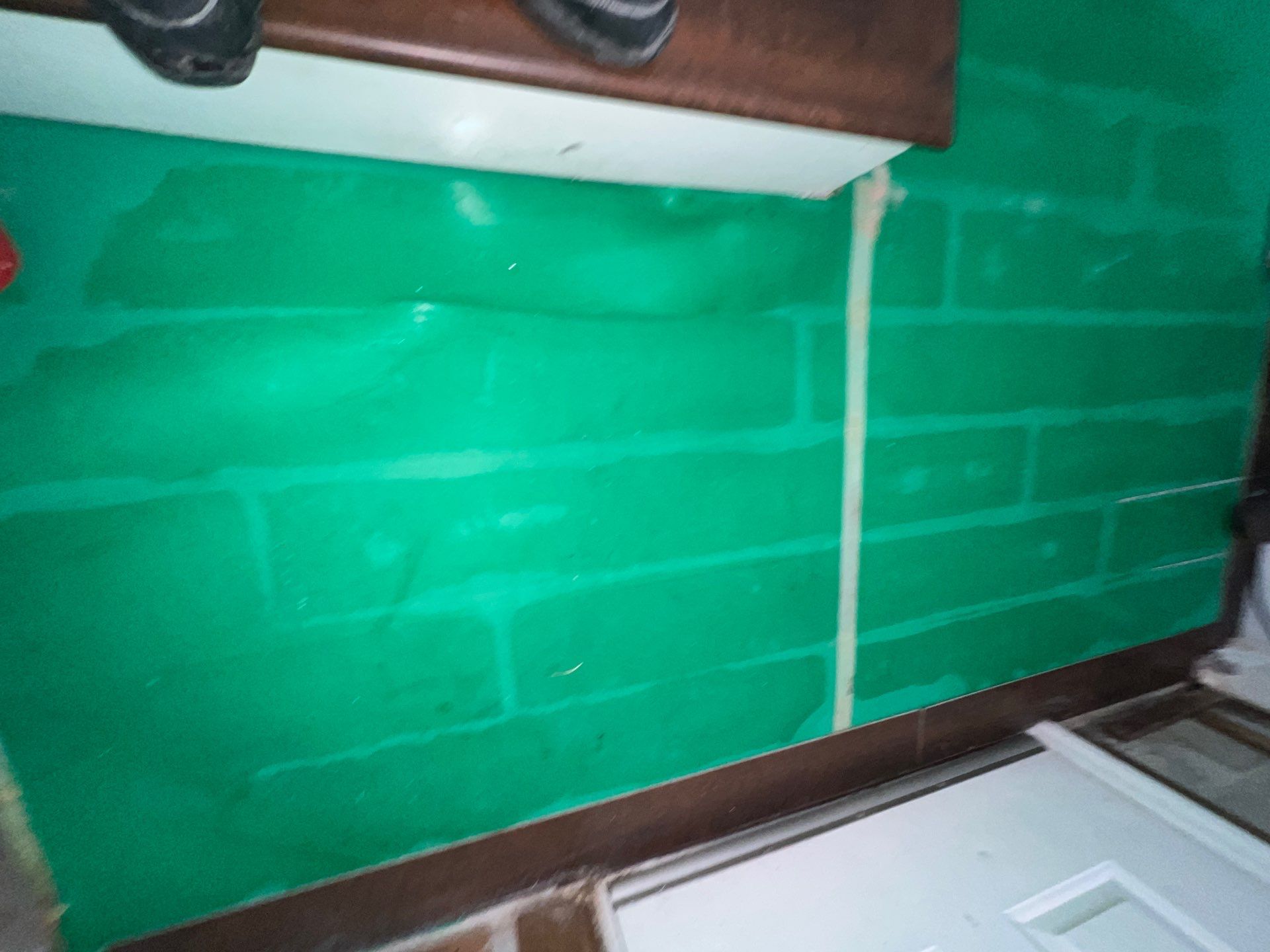 Stansell - water and mold photos  by THE RAPID TEAM