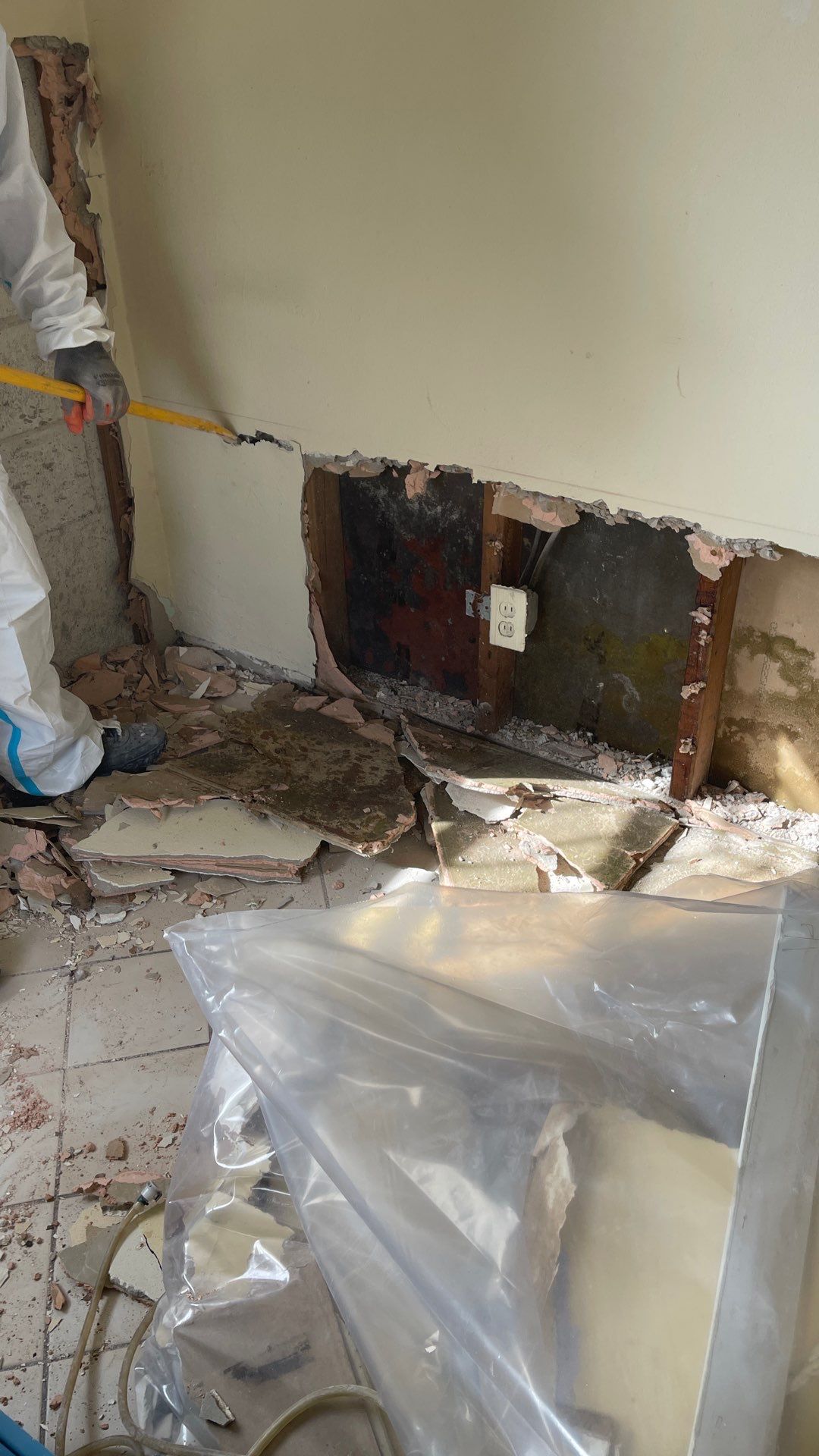 Mold Remediation  by THE RAPID TEAM