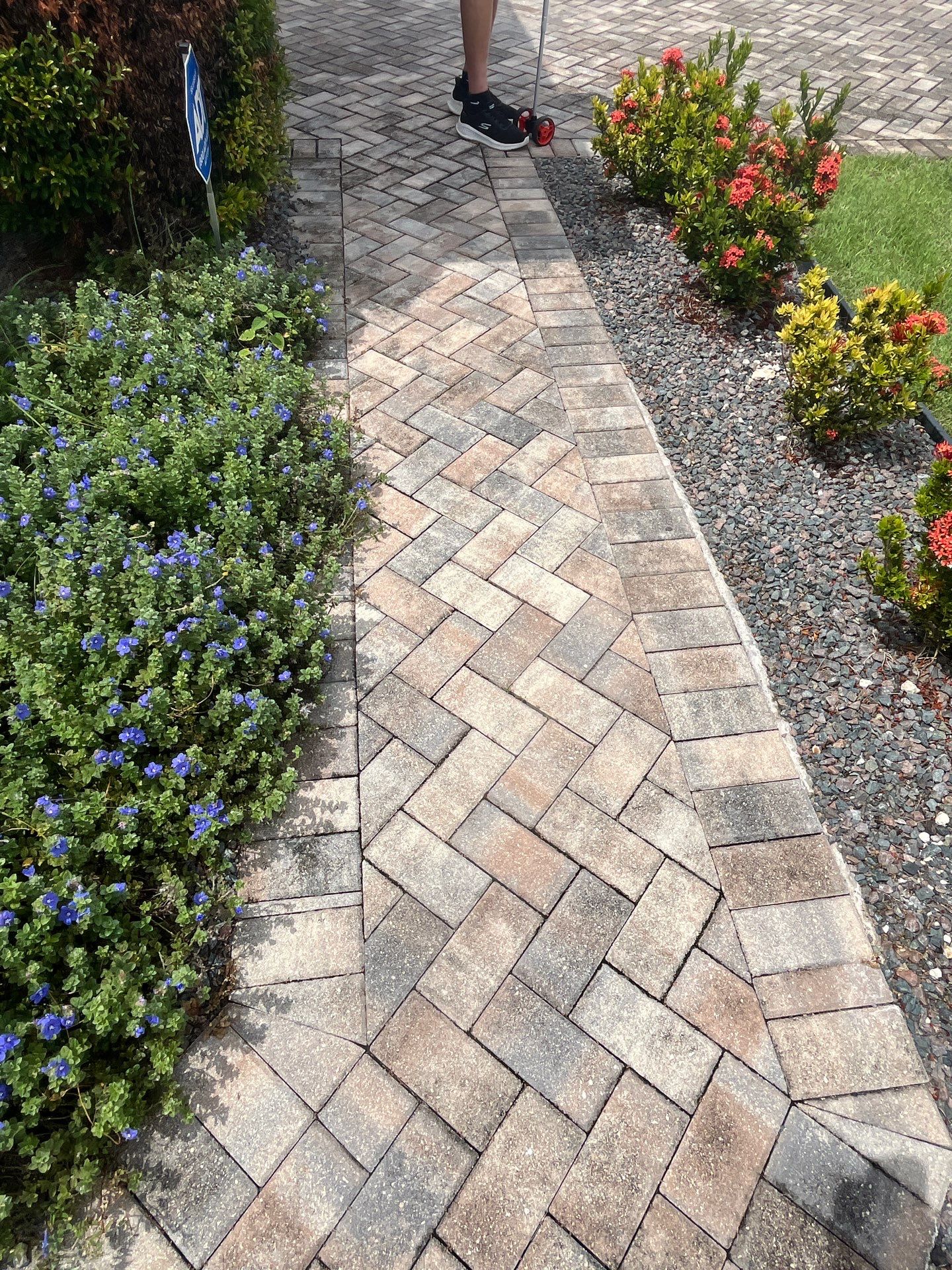 Residential Paver Sealing for Driveway and Pool Deck in La Paloma Sun City Center by Supreme Paver Experts