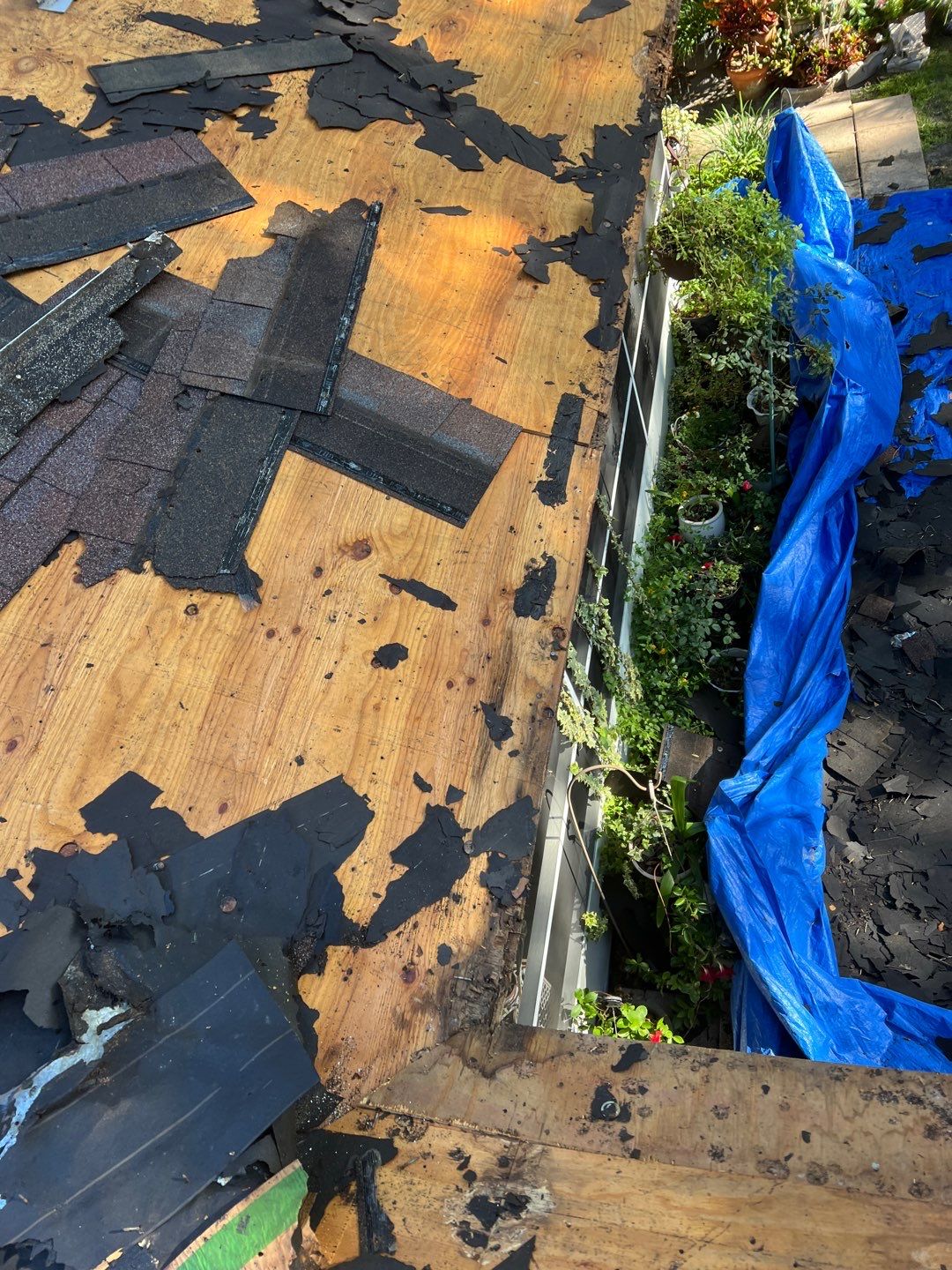 Project in Gulfport 33707 by Mitchell Roofing Company LLC