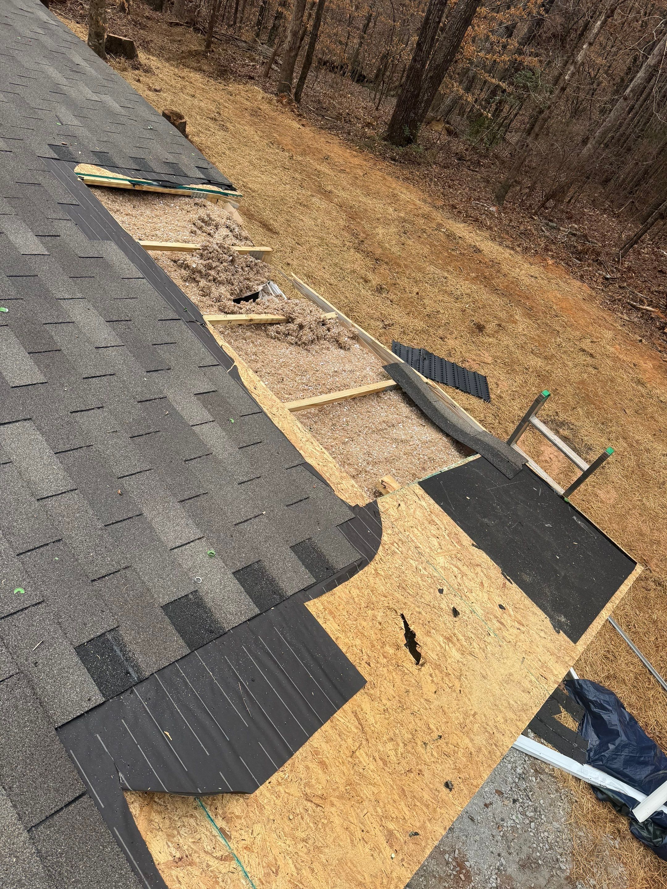 Project in Seneca by Roofsters