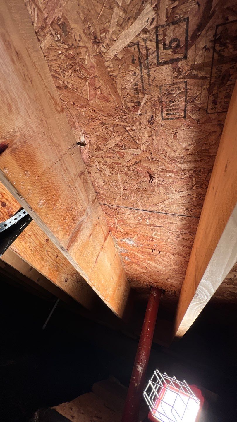 Mold Damage by Accountable Home Services