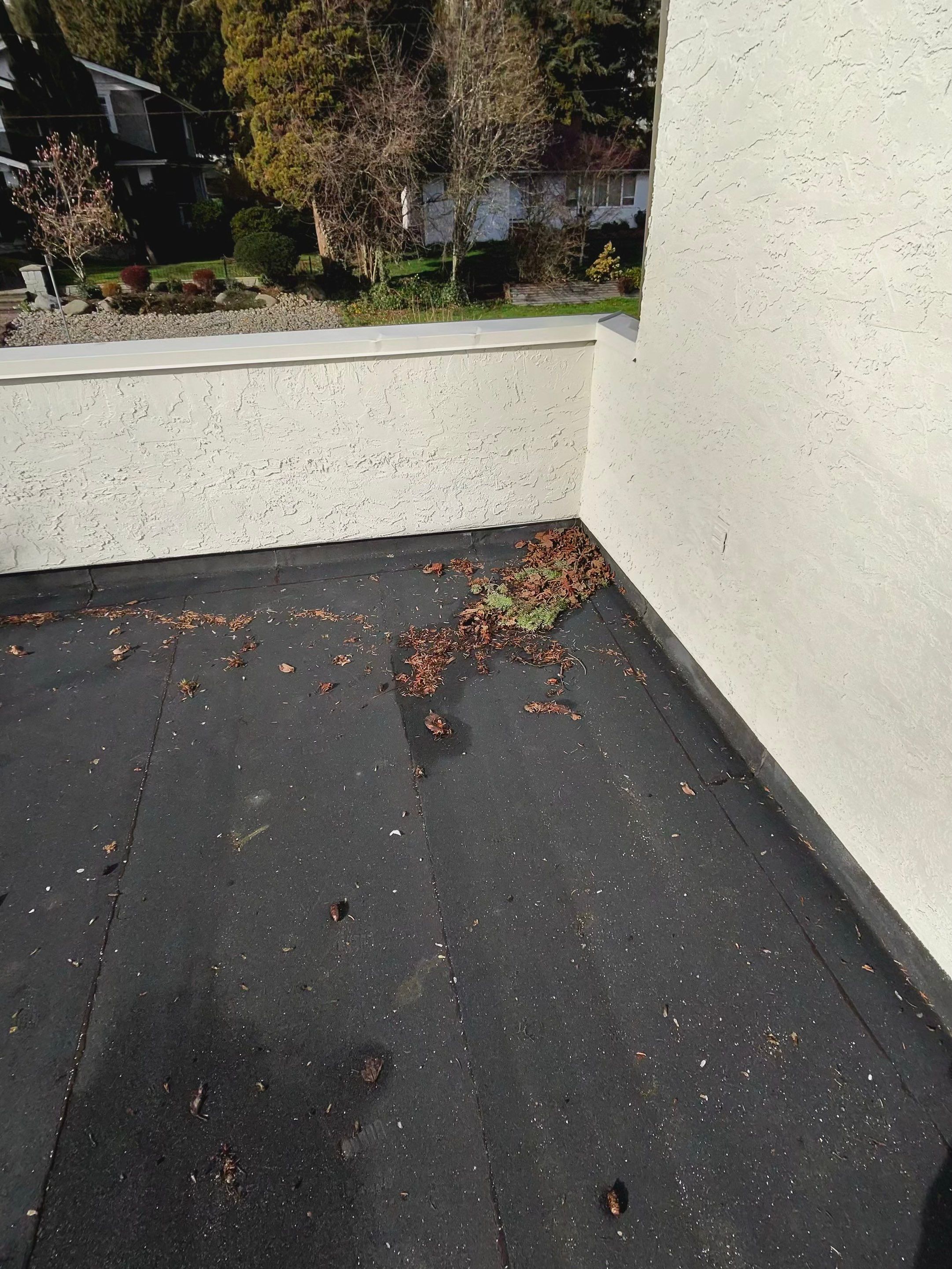 Move in Repair for Sycamore Property In West Vancouver  by YVR Construction Group