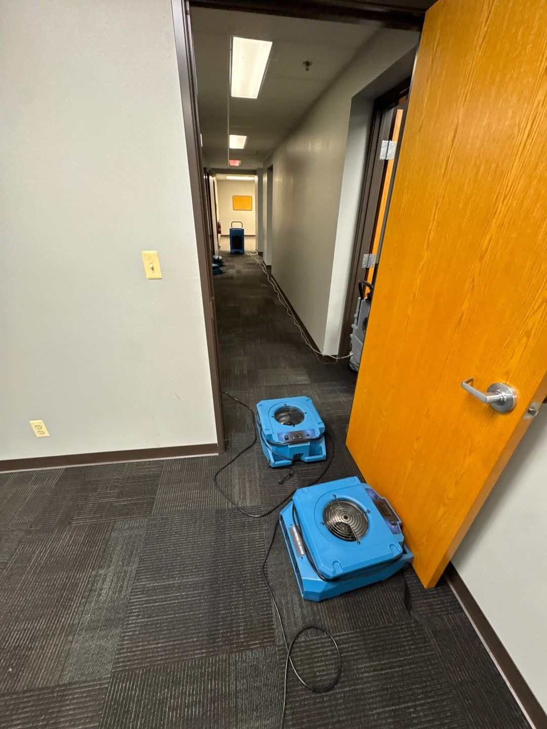 Project in Warren by EzDry Water Mitigation & Property Restoration